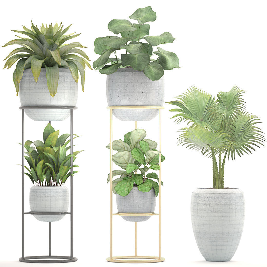 Collection plants palm tree in pot 3D model_6