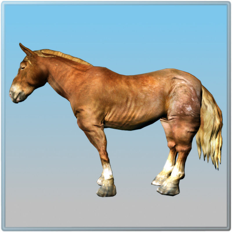 Realtime Horse Free low-poly 3D model_4