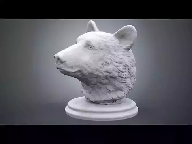 Black Bear Bust