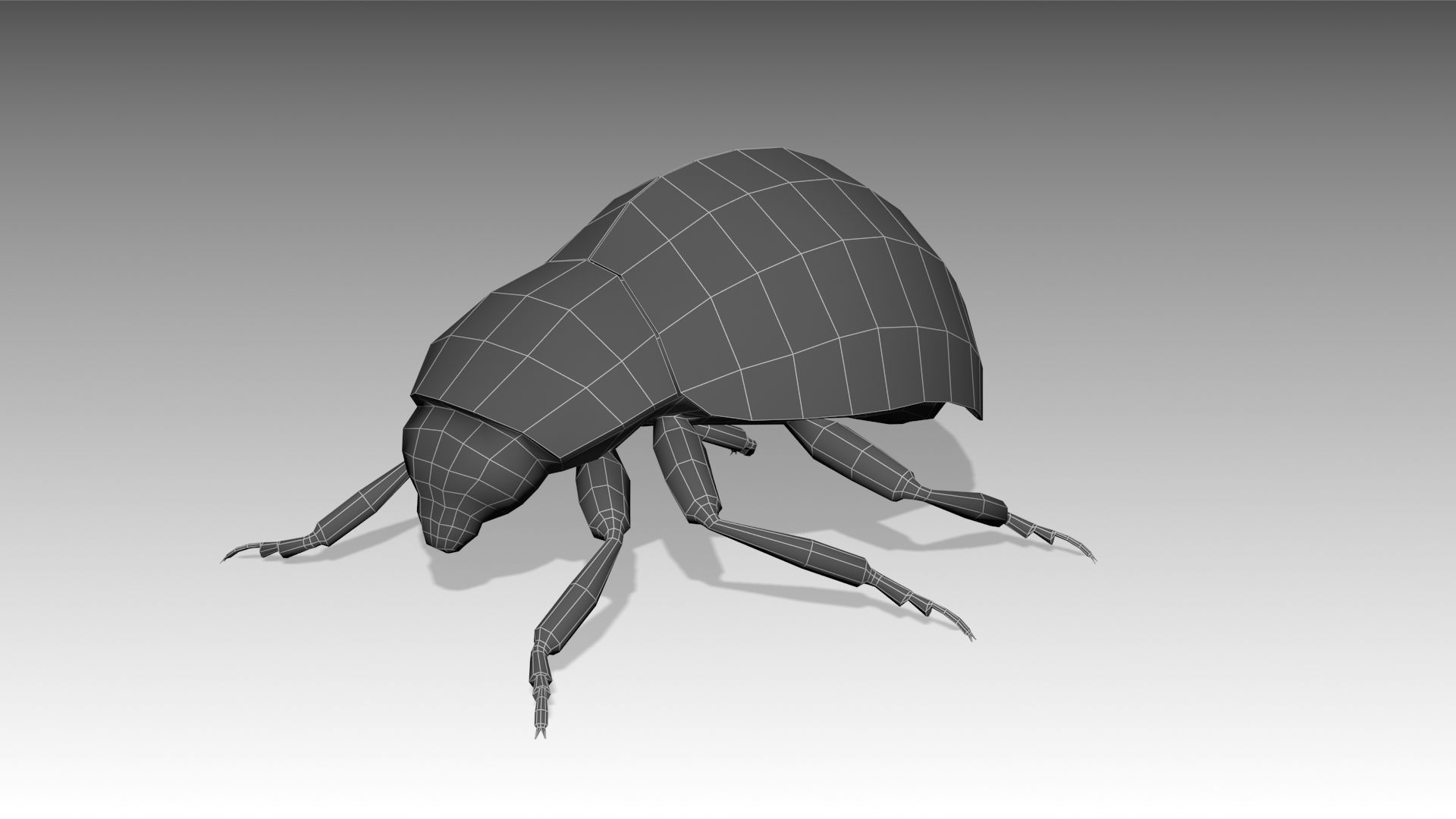 Ladybug Animated Low-poly 3D model_5