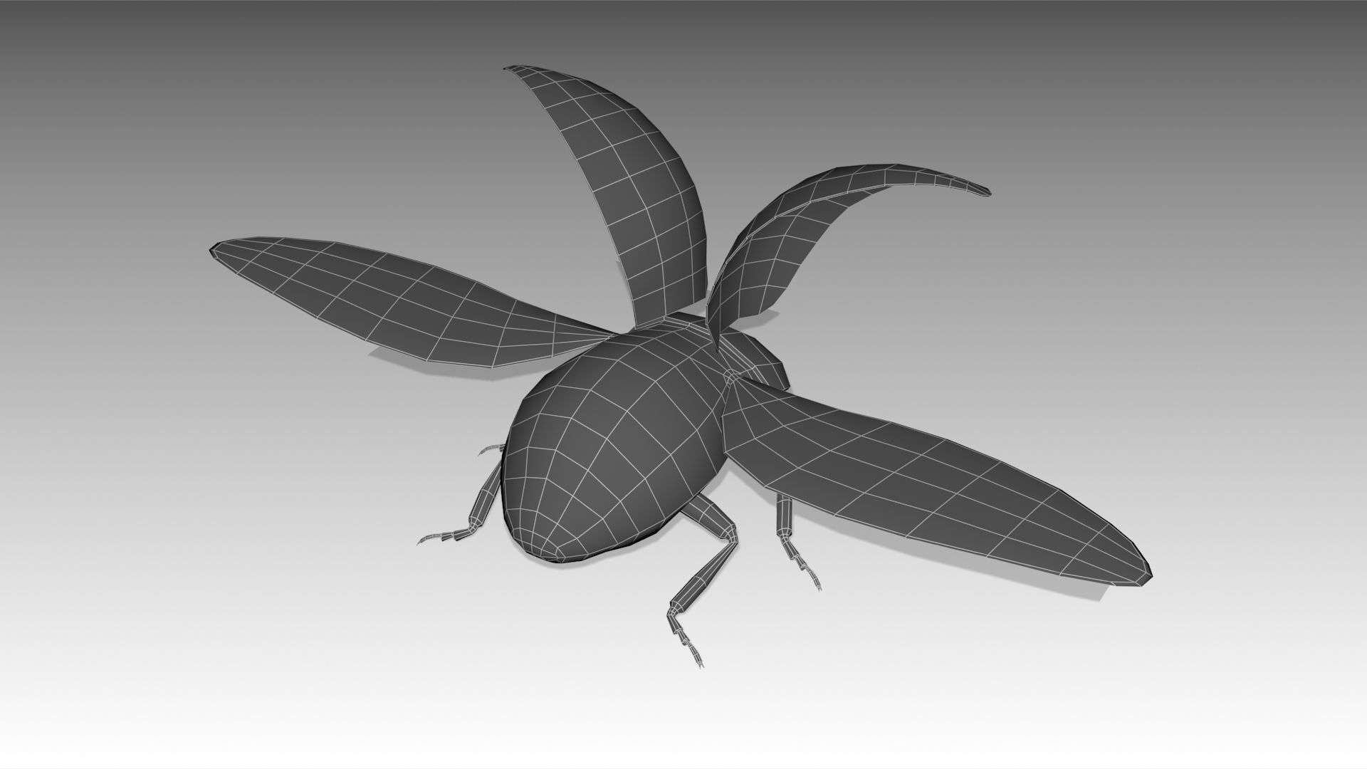 Ladybug Animated Low-poly 3D model_6