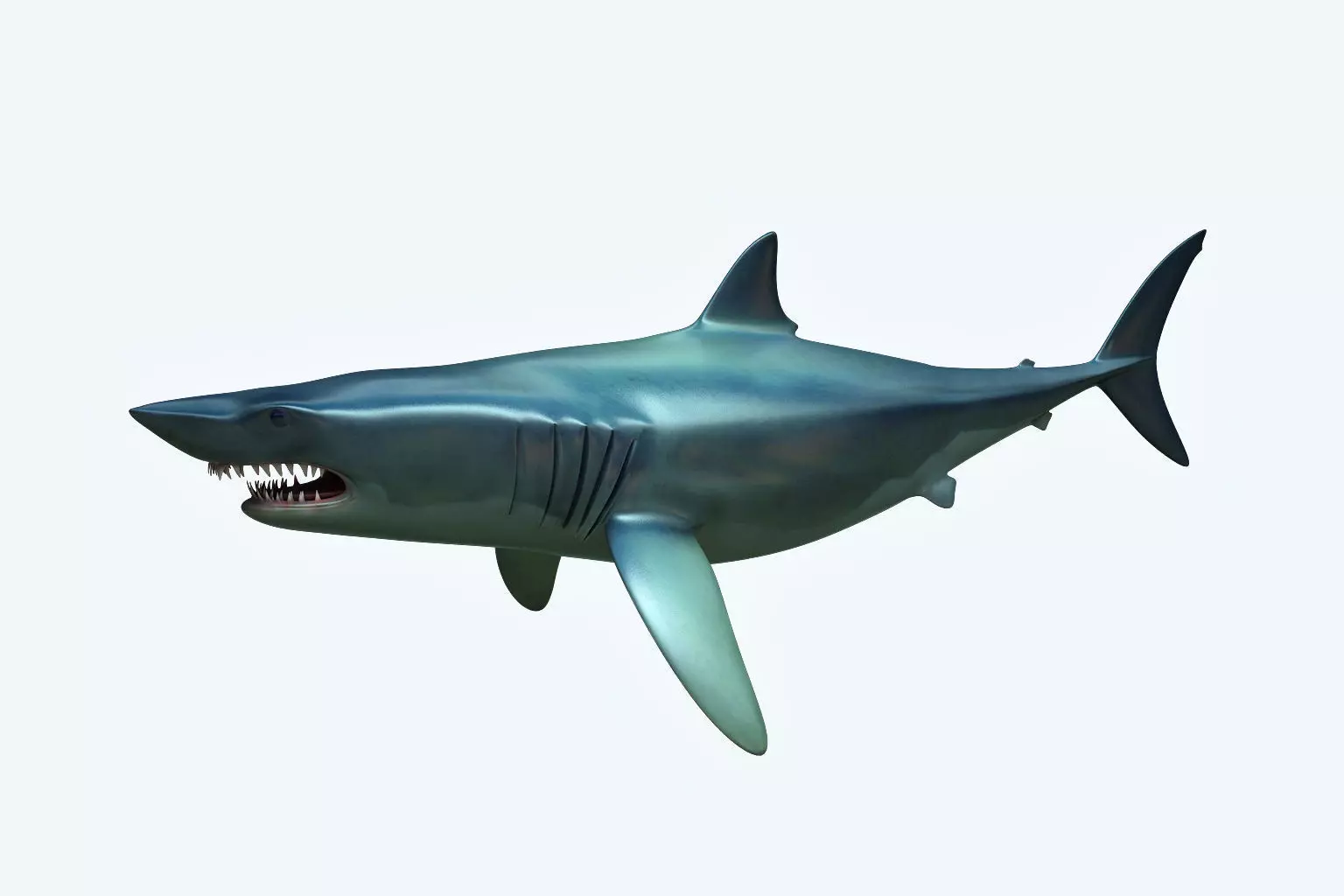 Shark dolphin 3D model_0