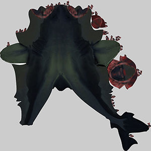 Shark dolphin 3D model_9