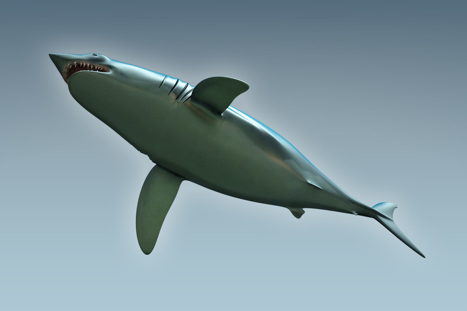Shark dolphin 3D model_6