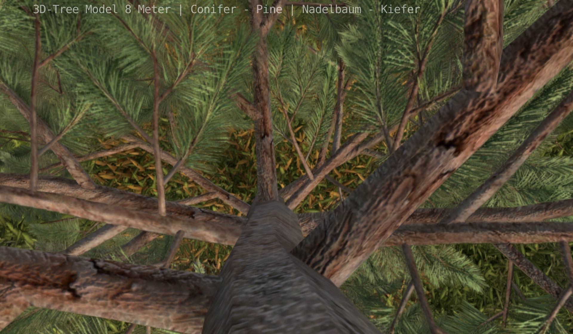 Pine Conifer - Tree 8 Meter Low-poly 3D model_58
