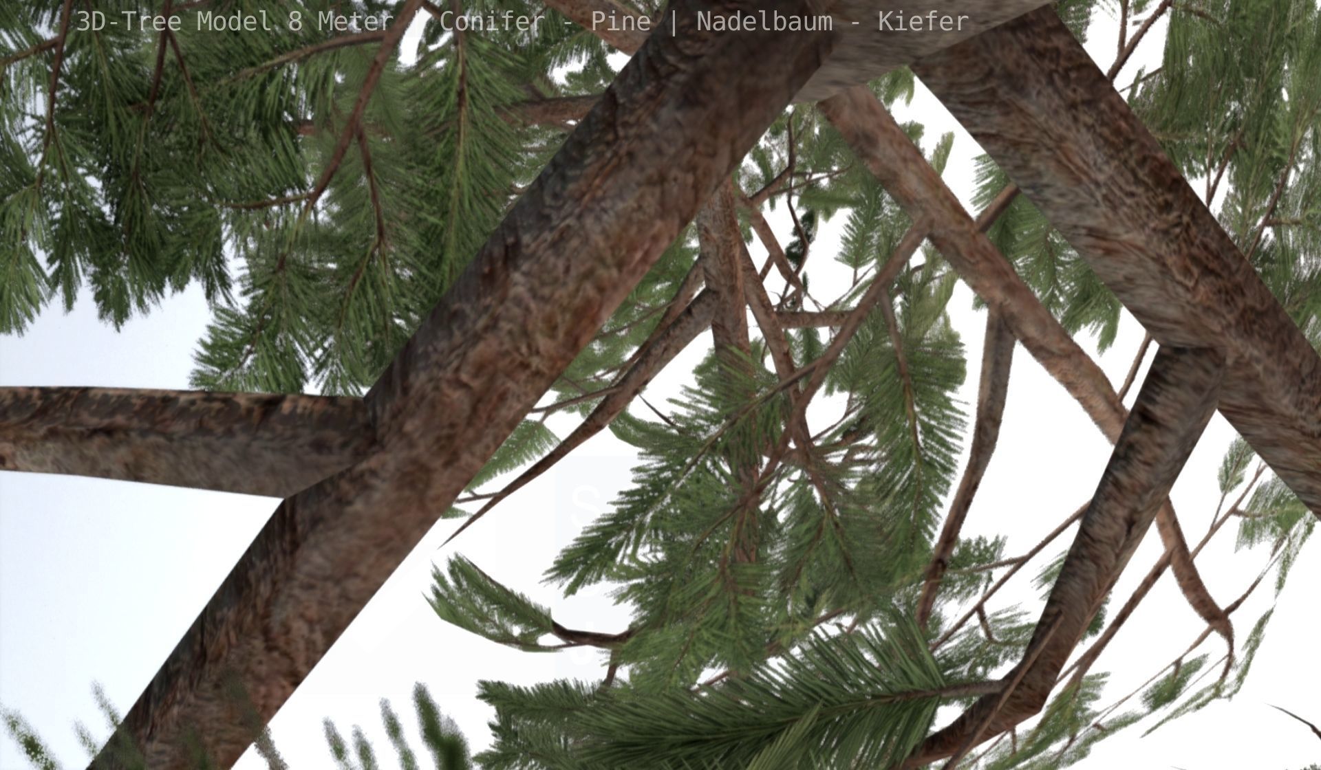 Pine Conifer - Tree 8 Meter Low-poly 3D model_69