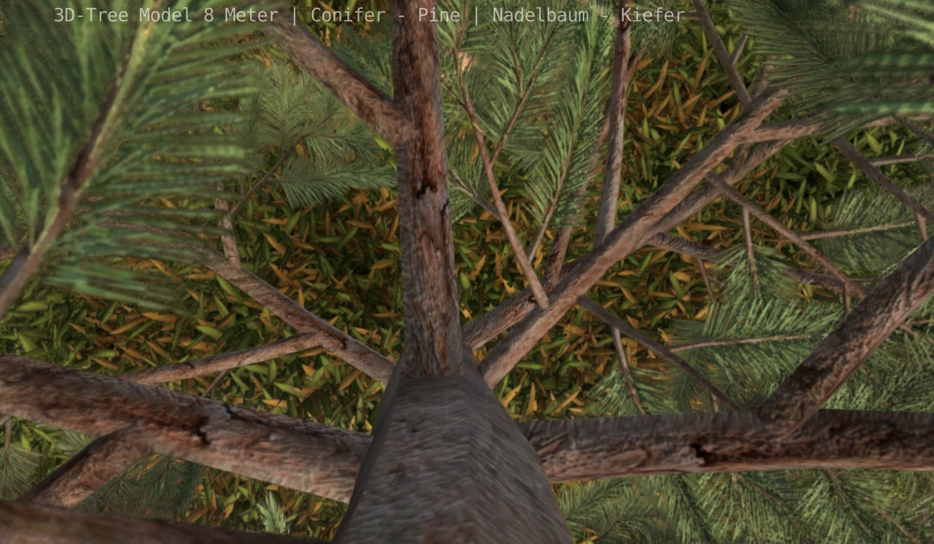 Pine Conifer - Tree 8 Meter Low-poly 3D model_59