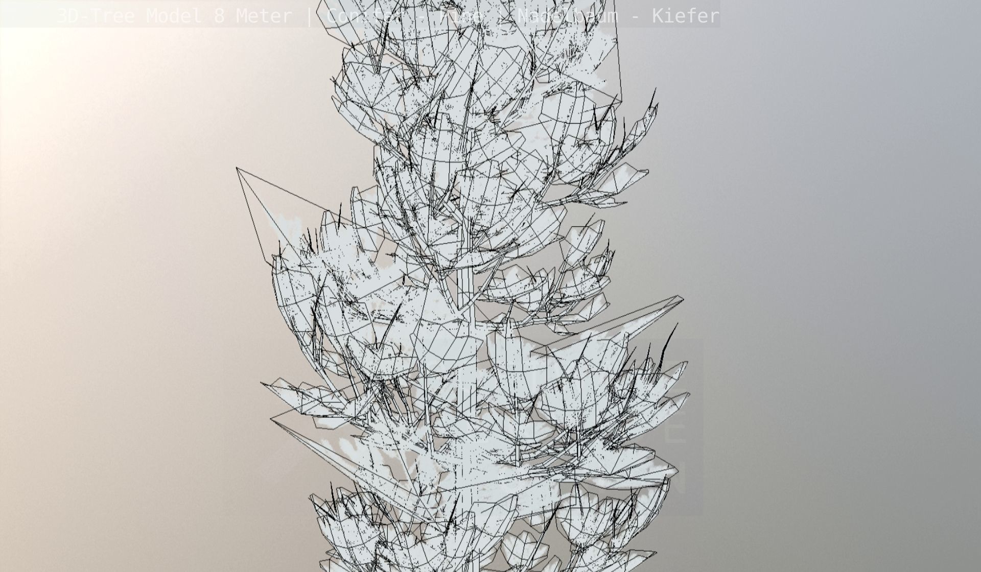 Pine Conifer - Tree 8 Meter Low-poly 3D model_137