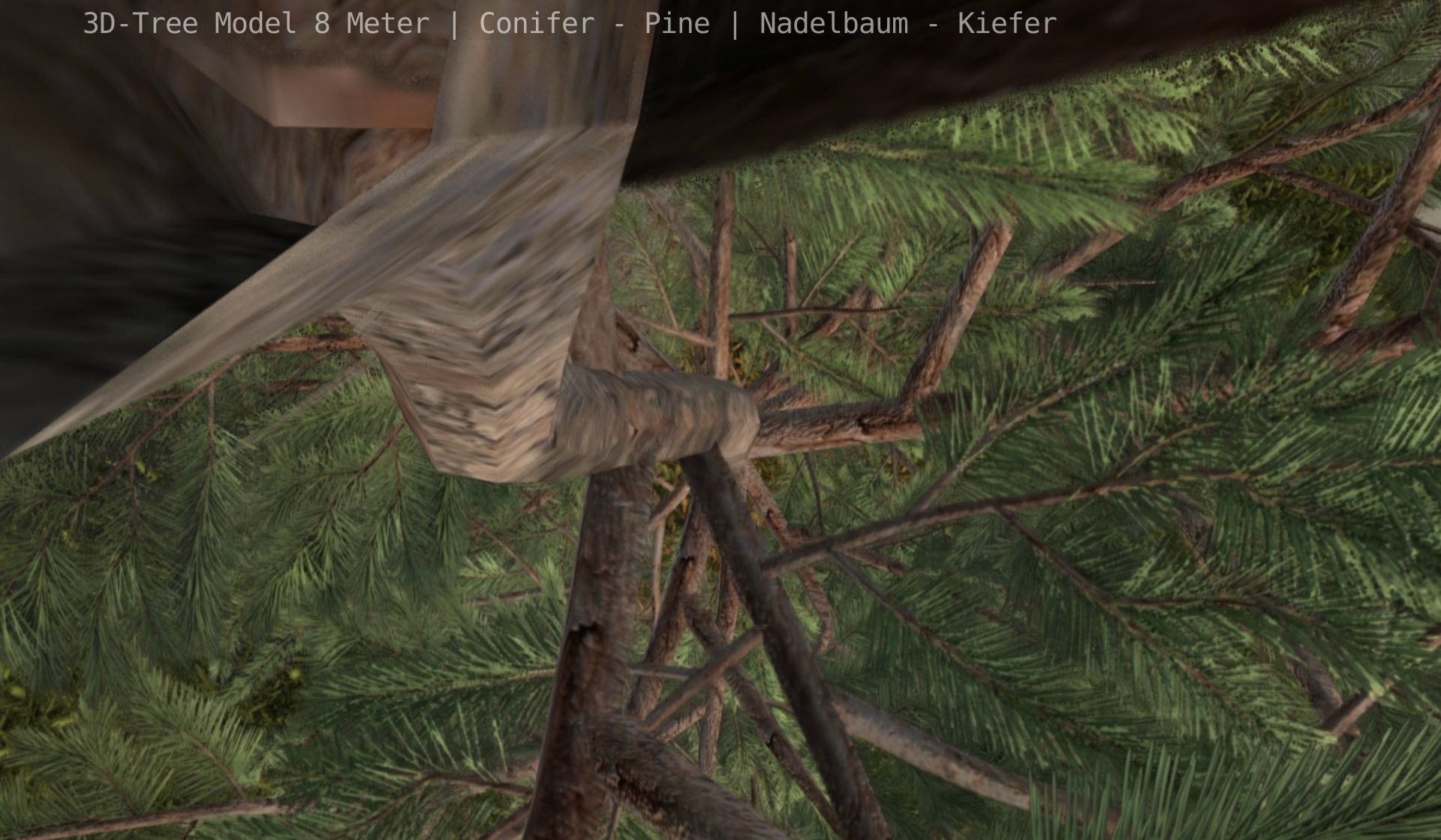 Pine Conifer - Tree 8 Meter Low-poly 3D model_51