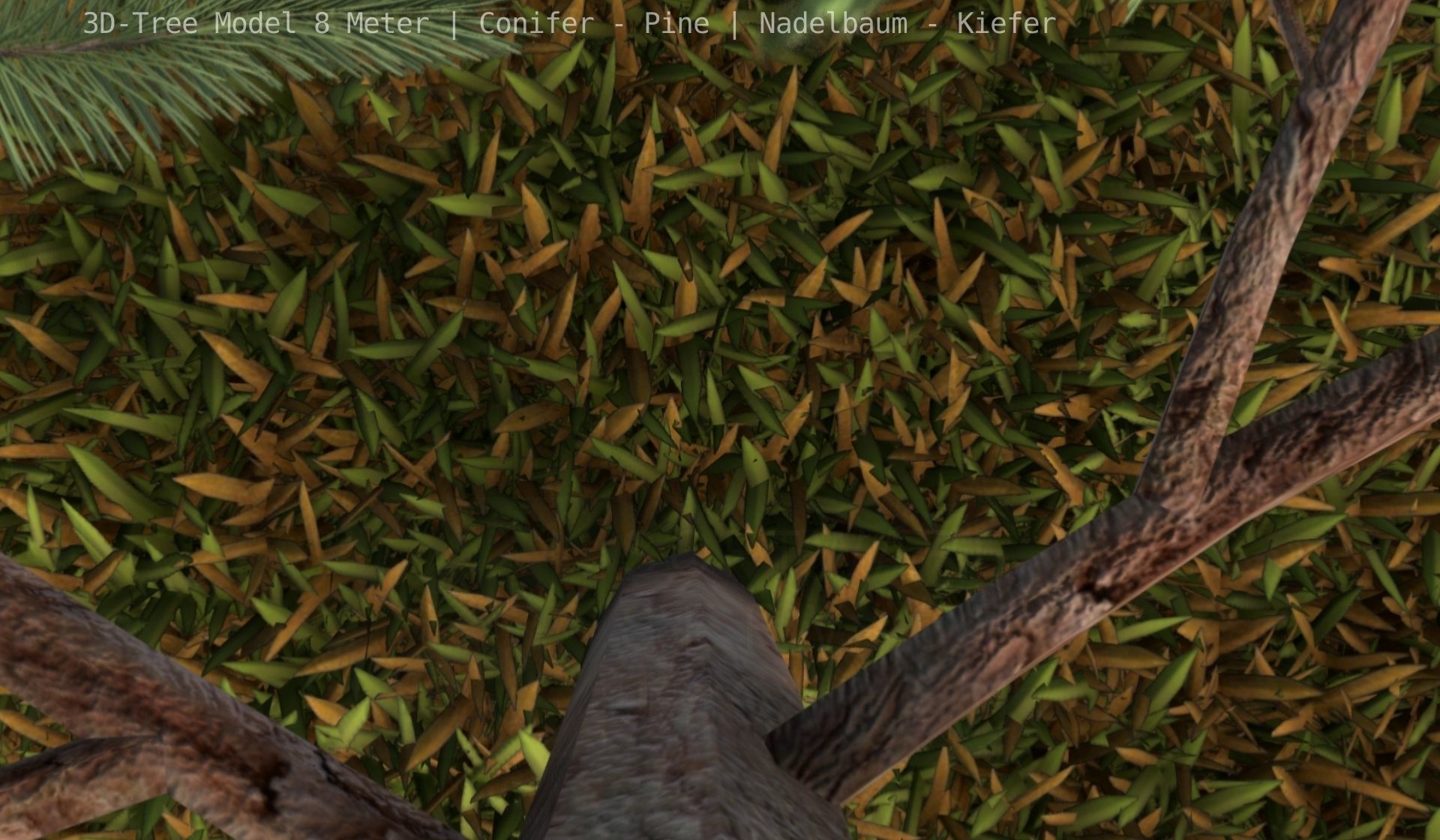 Pine Conifer - Tree 8 Meter Low-poly 3D model_63