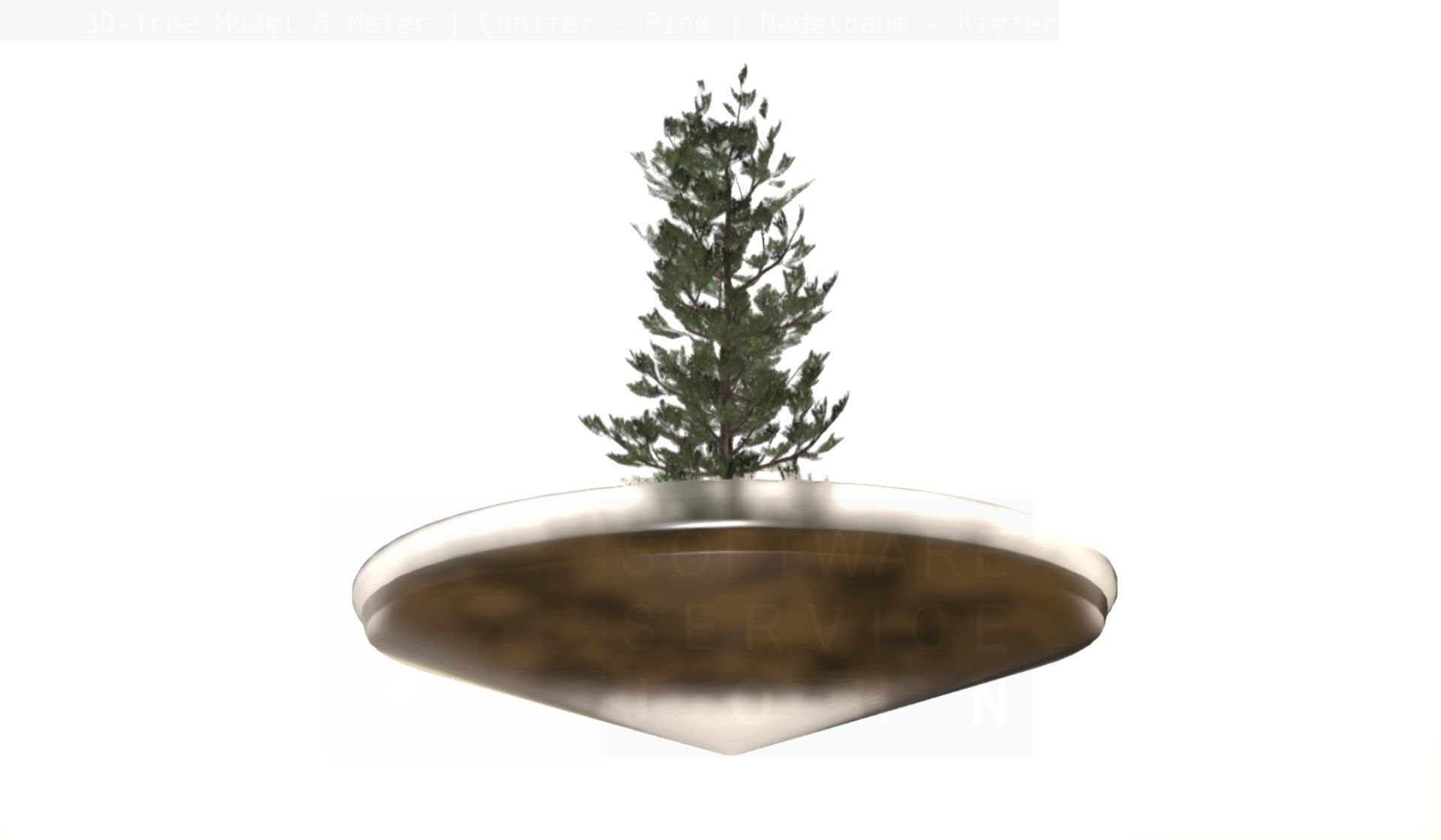 Pine Conifer - Tree 8 Meter Low-poly 3D model_26