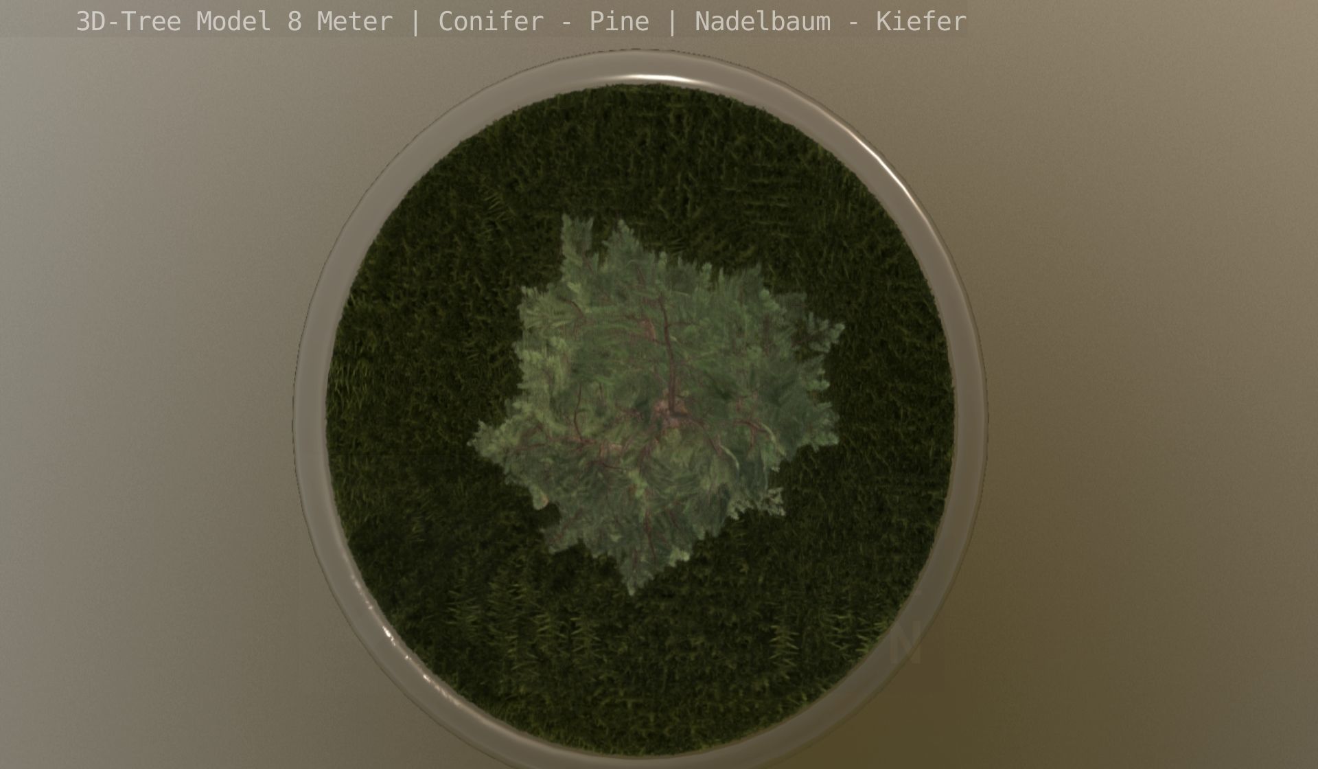 Pine Conifer - Tree 8 Meter Low-poly 3D model_91