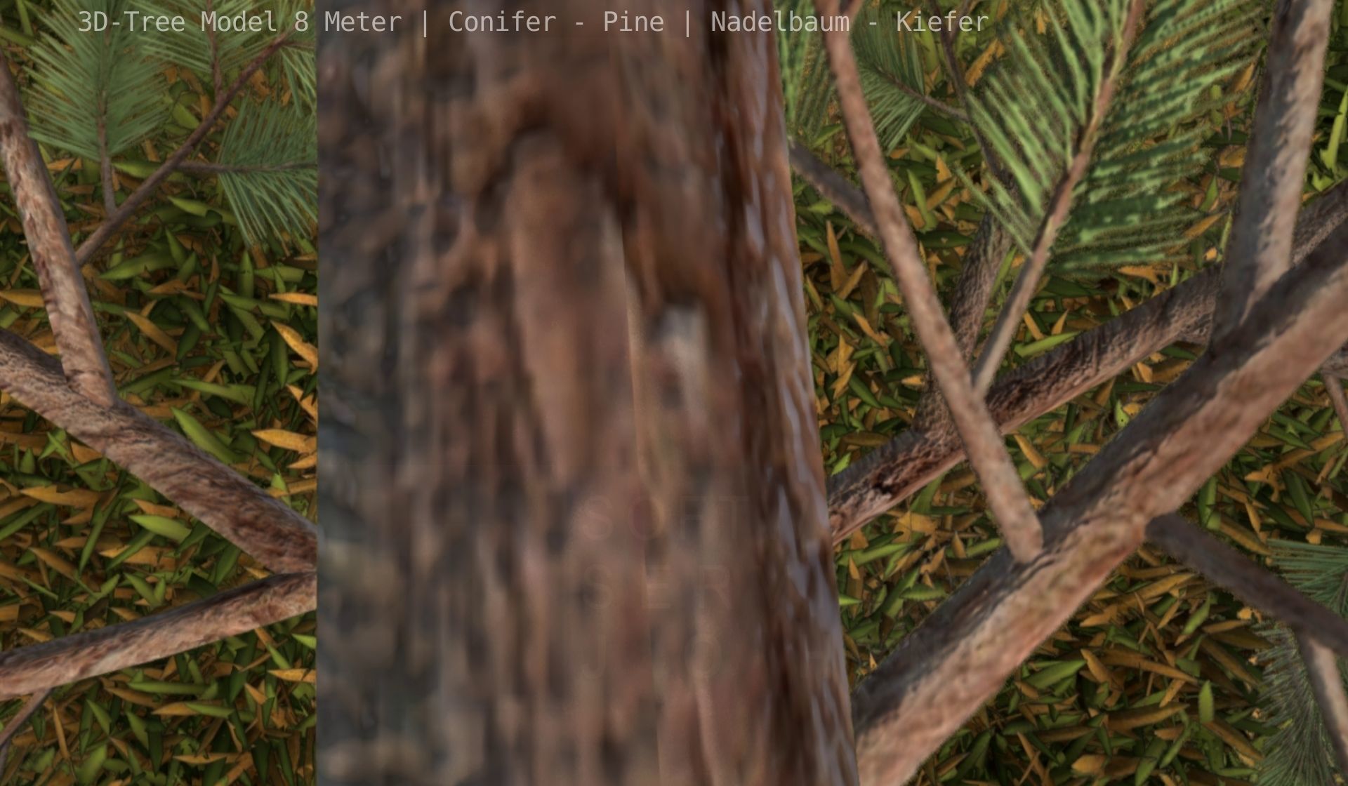 Pine Conifer - Tree 8 Meter Low-poly 3D model_81