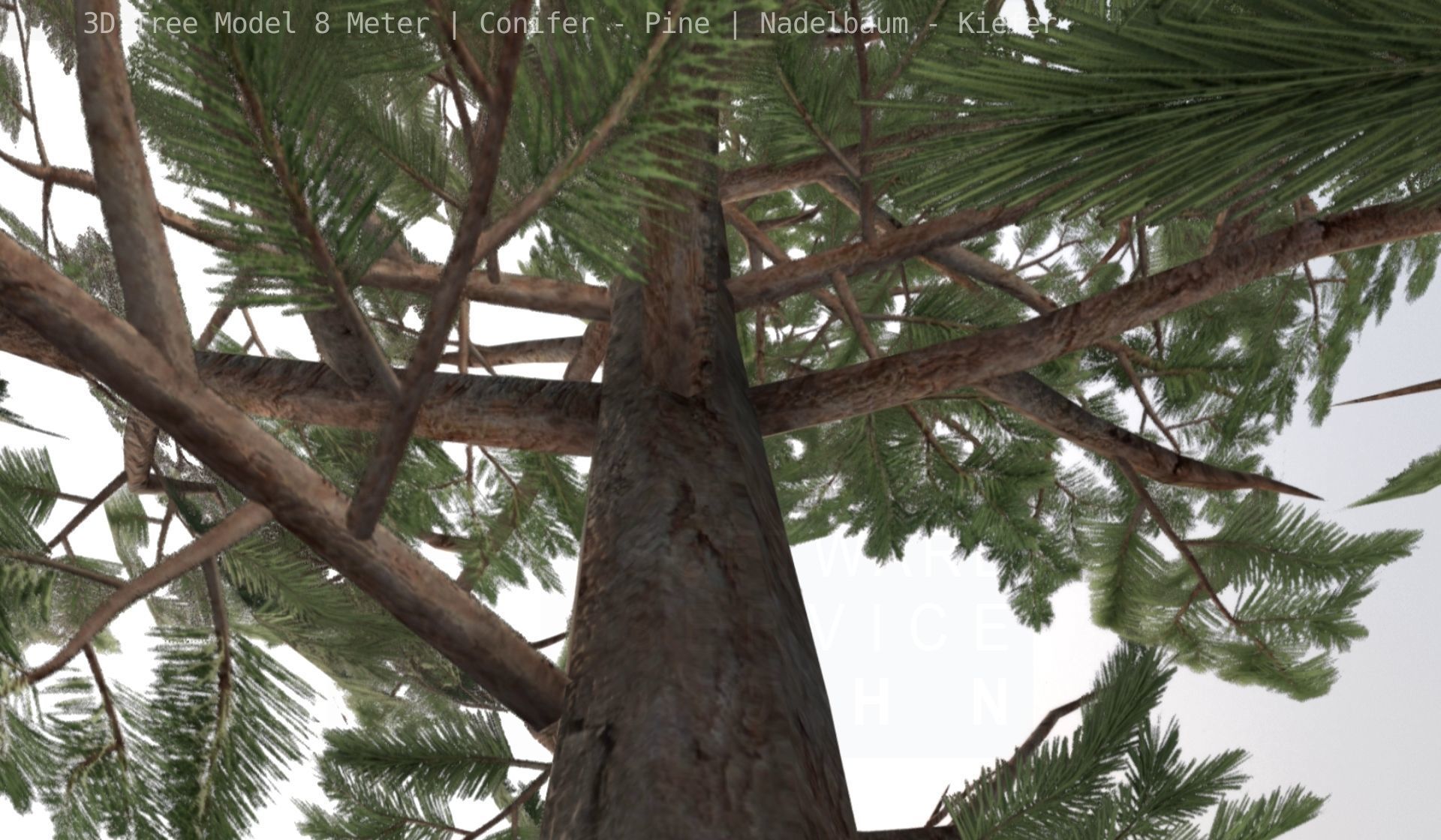 Pine Conifer - Tree 8 Meter Low-poly 3D model_78