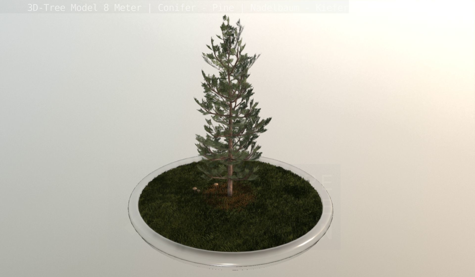 Pine Conifer - Tree 8 Meter Low-poly 3D model_22