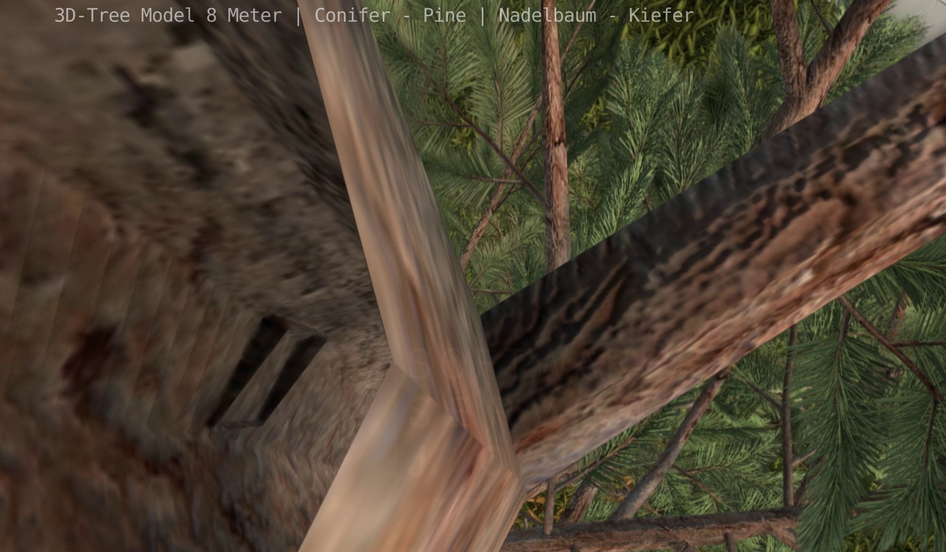 Pine Conifer - Tree 8 Meter Low-poly 3D model_44