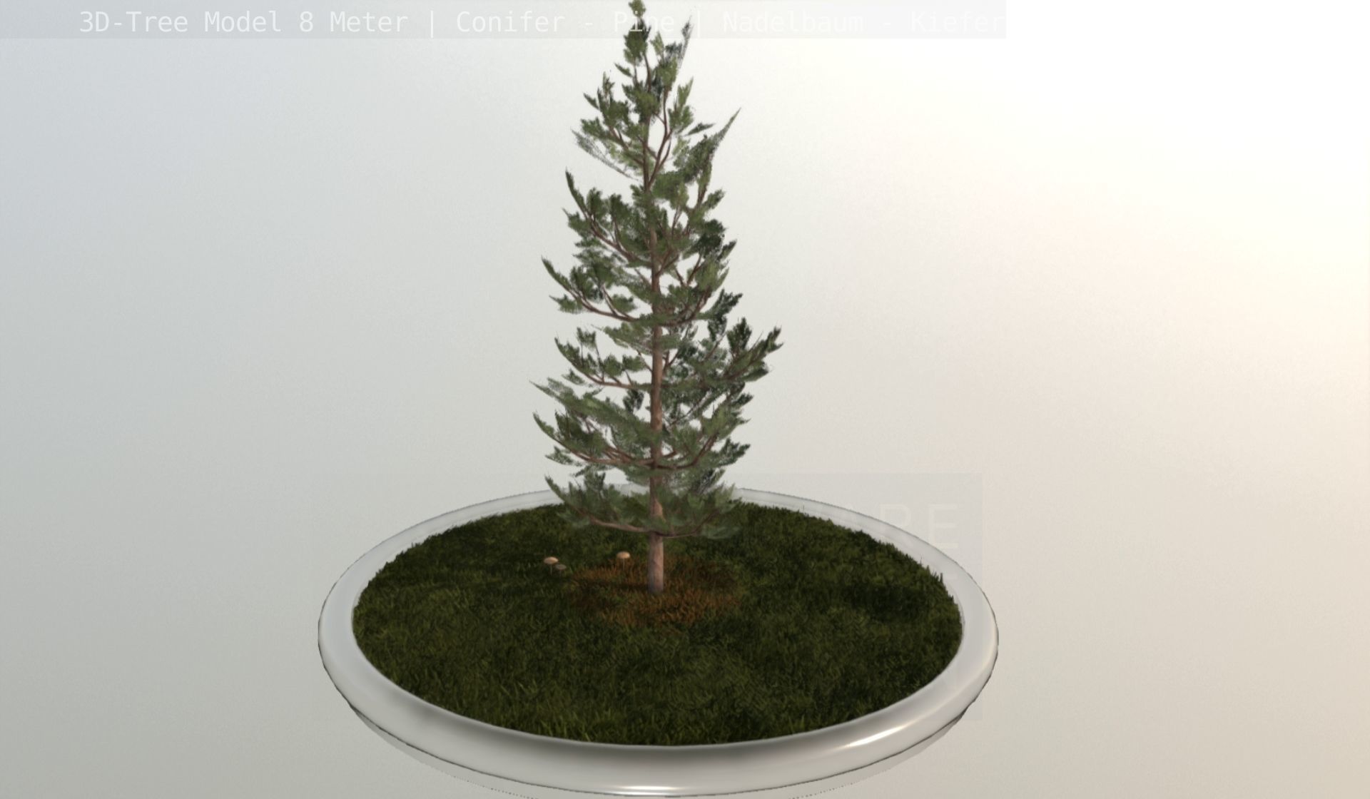 Pine Conifer - Tree 8 Meter Low-poly 3D model_71