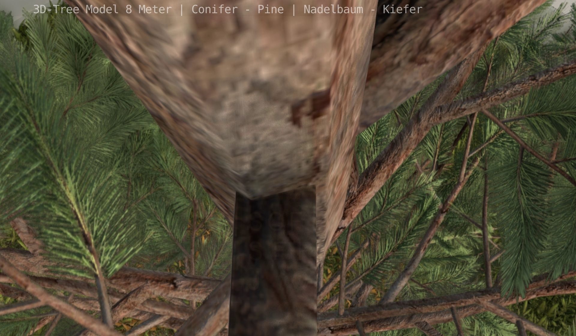 Pine Conifer - Tree 8 Meter Low-poly 3D model_77