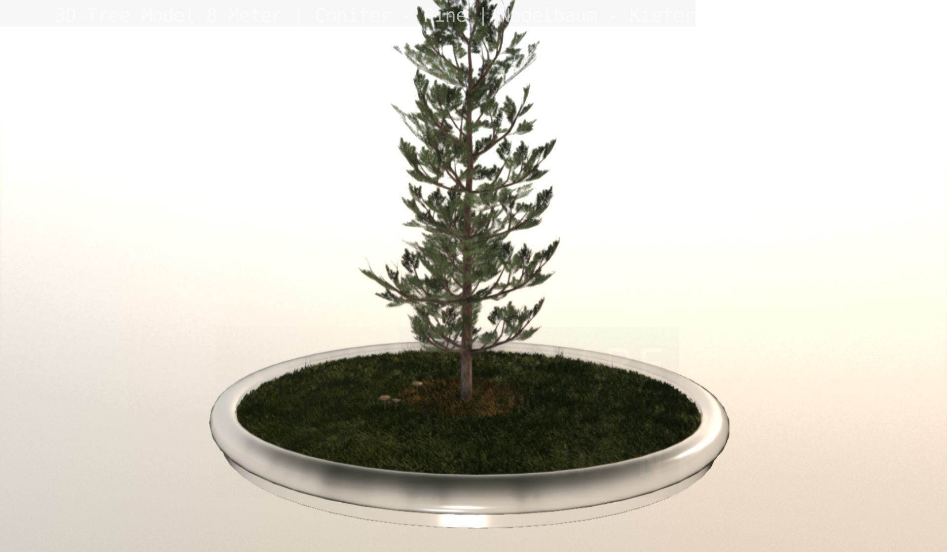 Pine Conifer - Tree 8 Meter Low-poly 3D model_27