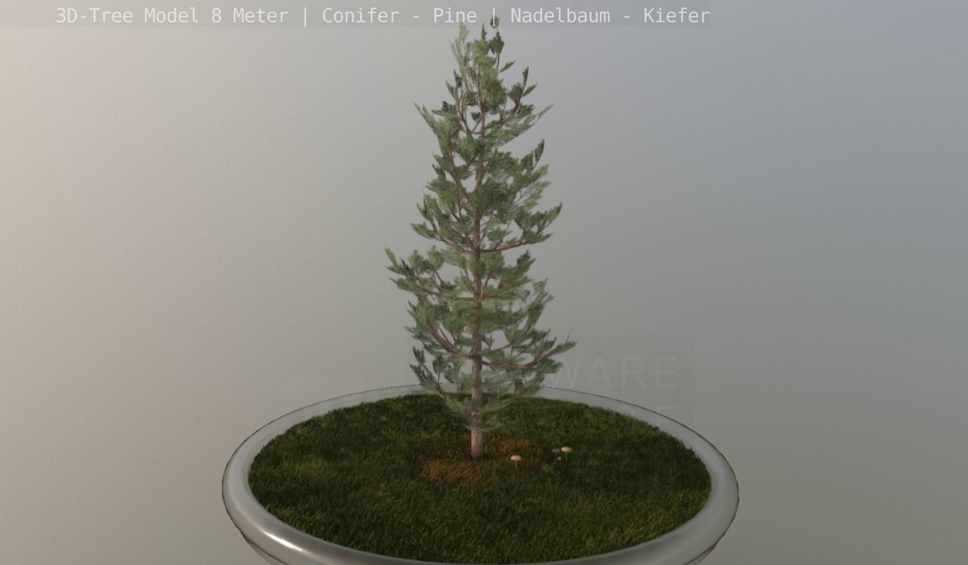 Pine Conifer - Tree 8 Meter Low-poly 3D model_57