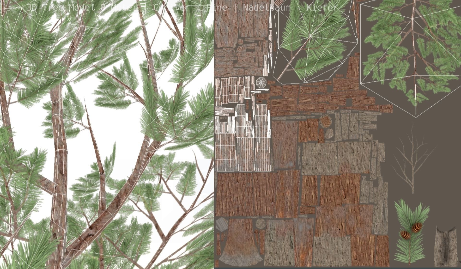 Pine Conifer - Tree 8 Meter Low-poly 3D model_3