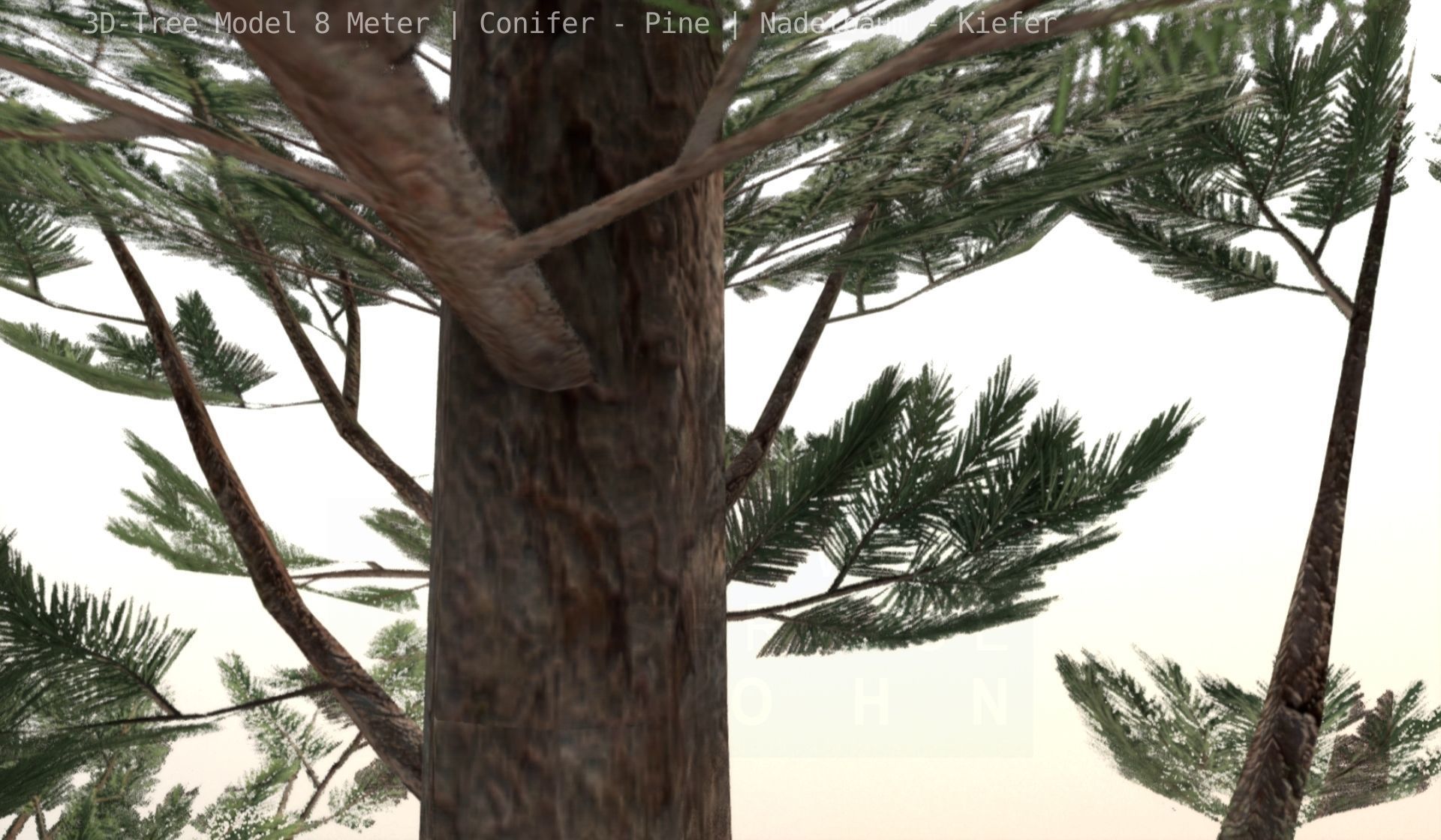 Pine Conifer - Tree 8 Meter Low-poly 3D model_84