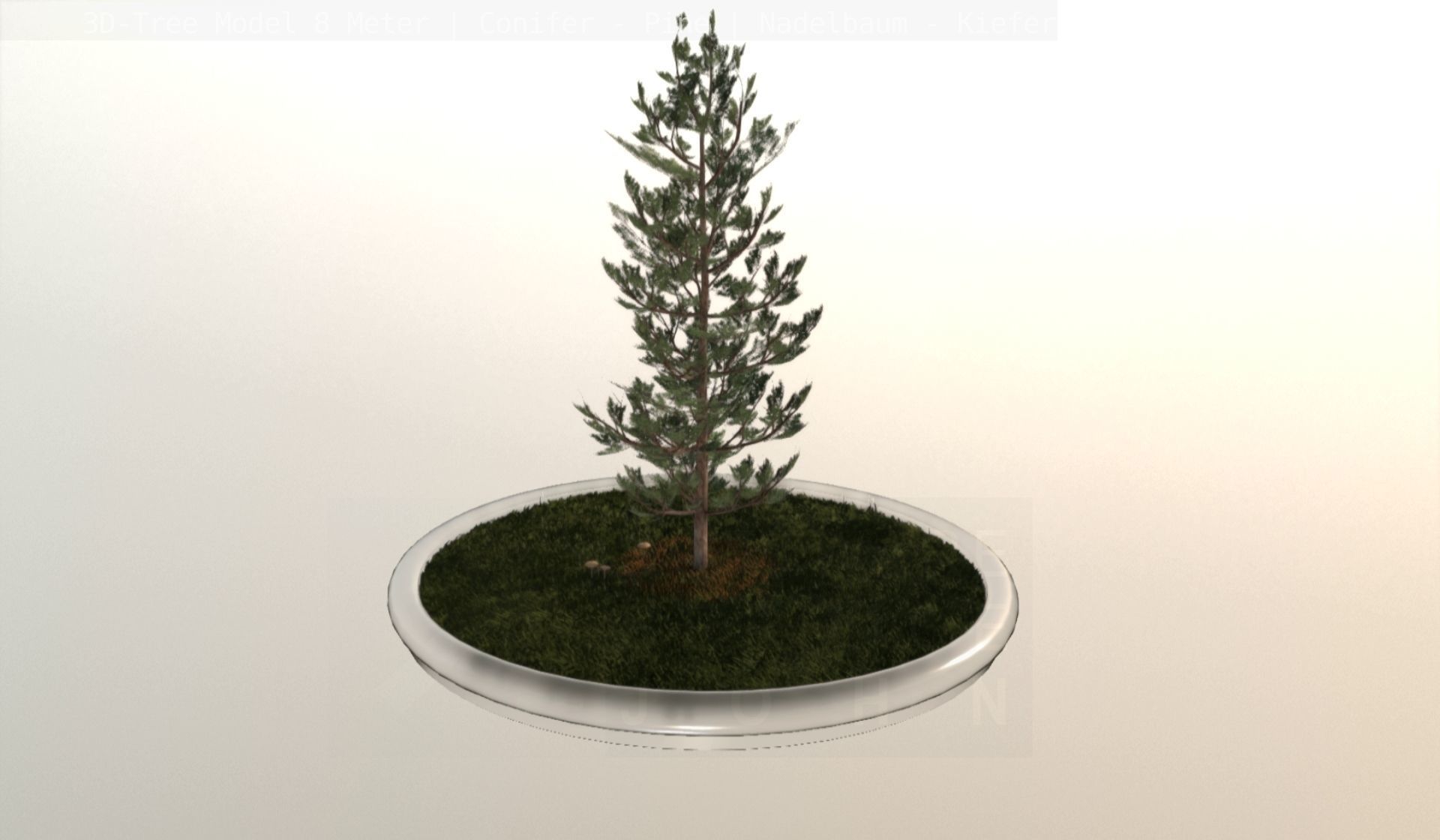 Pine Conifer - Tree 8 Meter Low-poly 3D model_74