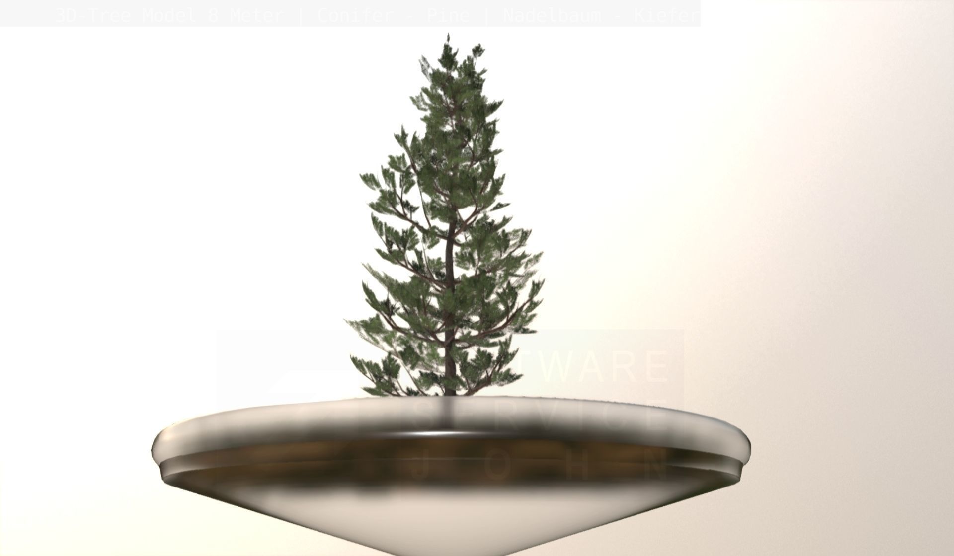 Pine Conifer - Tree 8 Meter Low-poly 3D model_12