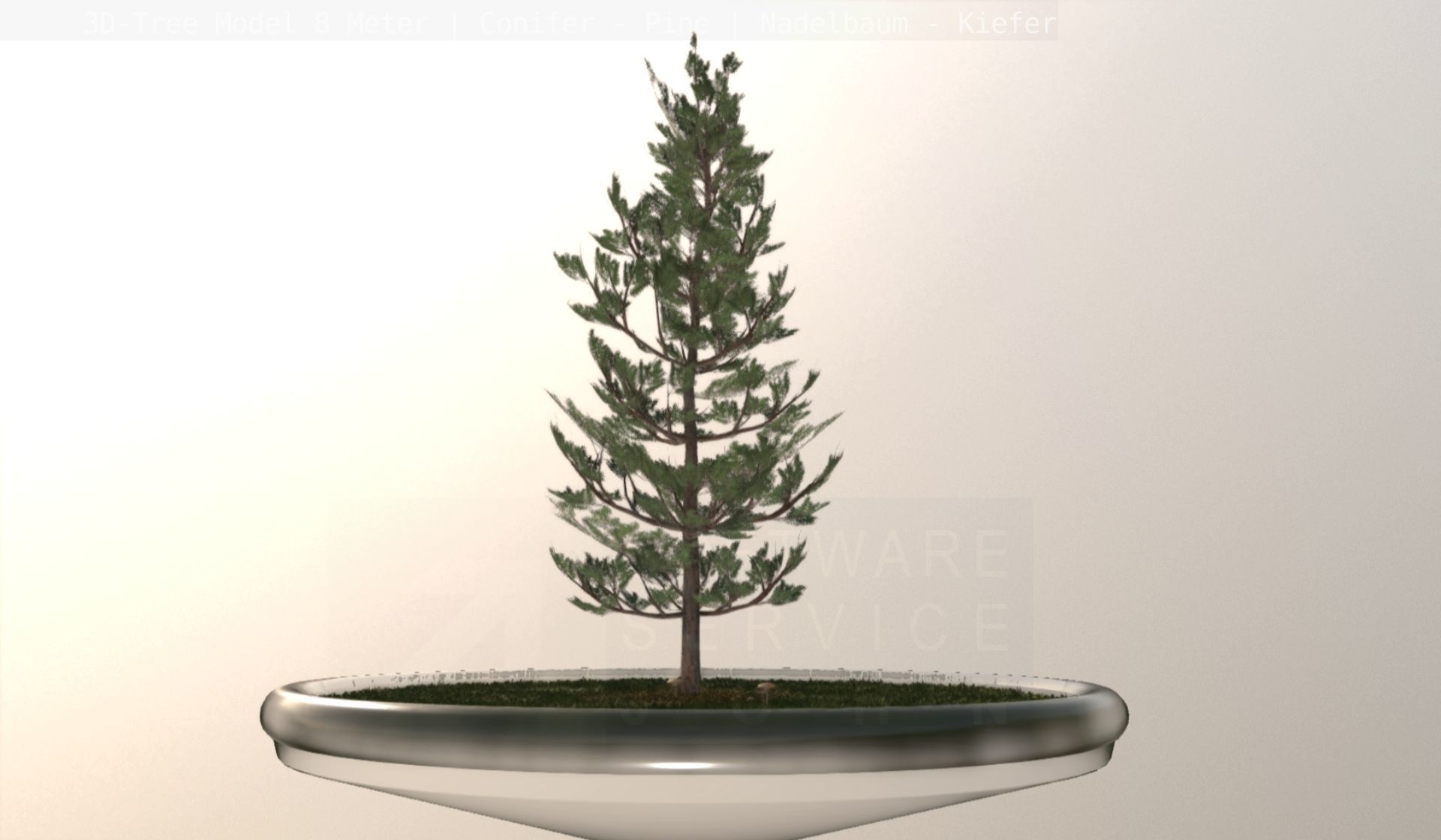 Pine Conifer - Tree 8 Meter Low-poly 3D model_7