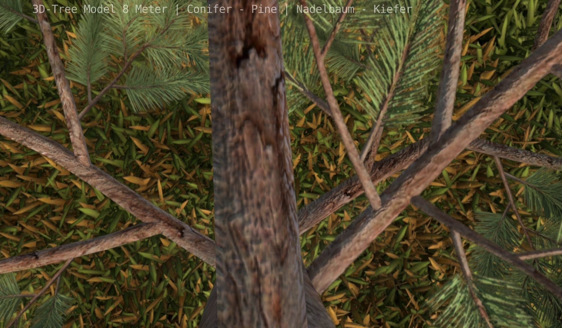 Pine Conifer - Tree 8 Meter Low-poly 3D model_61