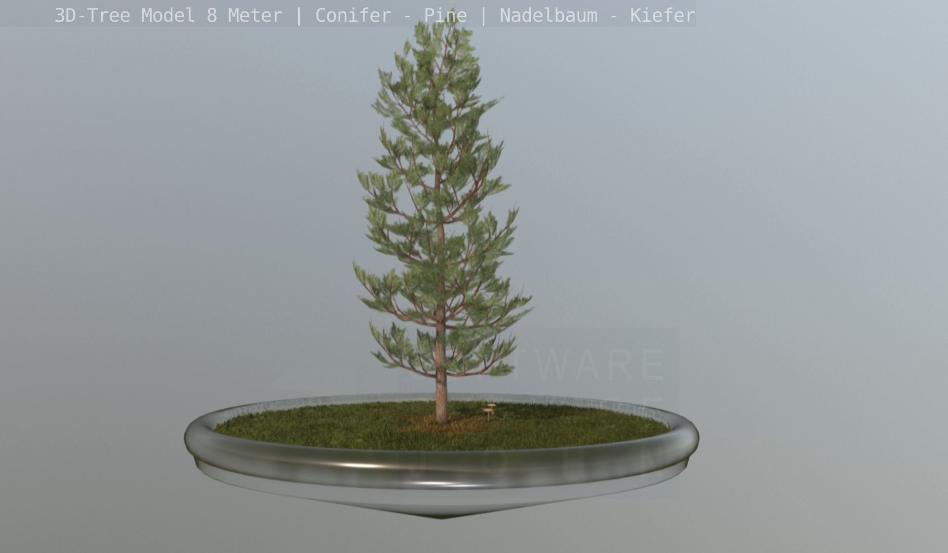 Pine Conifer - Tree 8 Meter Low-poly 3D model_65
