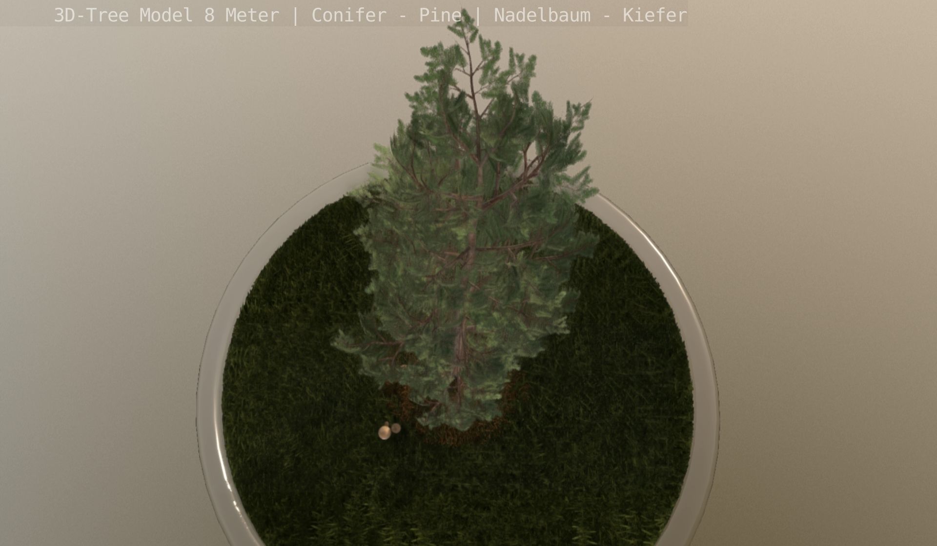 Pine Conifer - Tree 8 Meter Low-poly 3D model_90