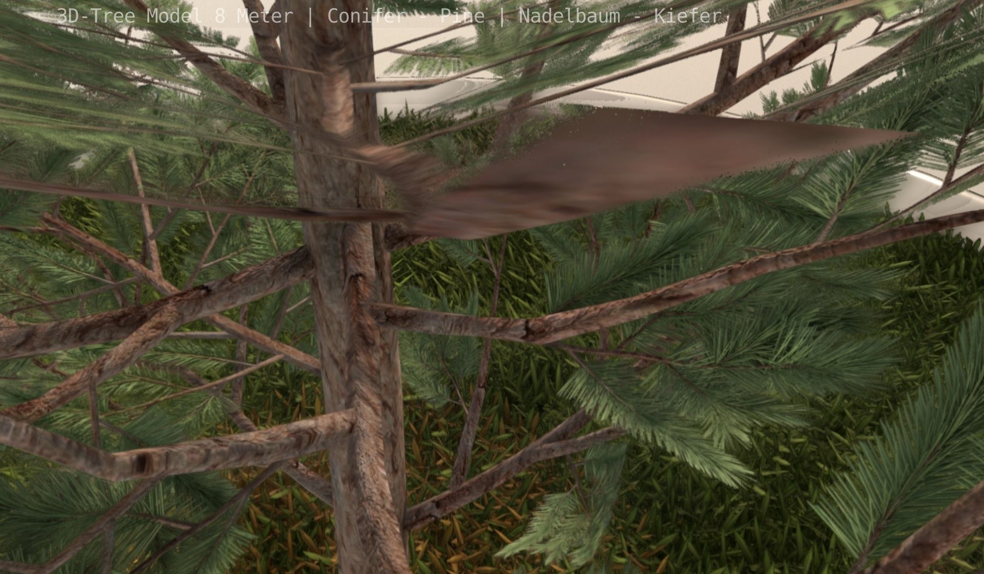 Pine Conifer - Tree 8 Meter Low-poly 3D model_101