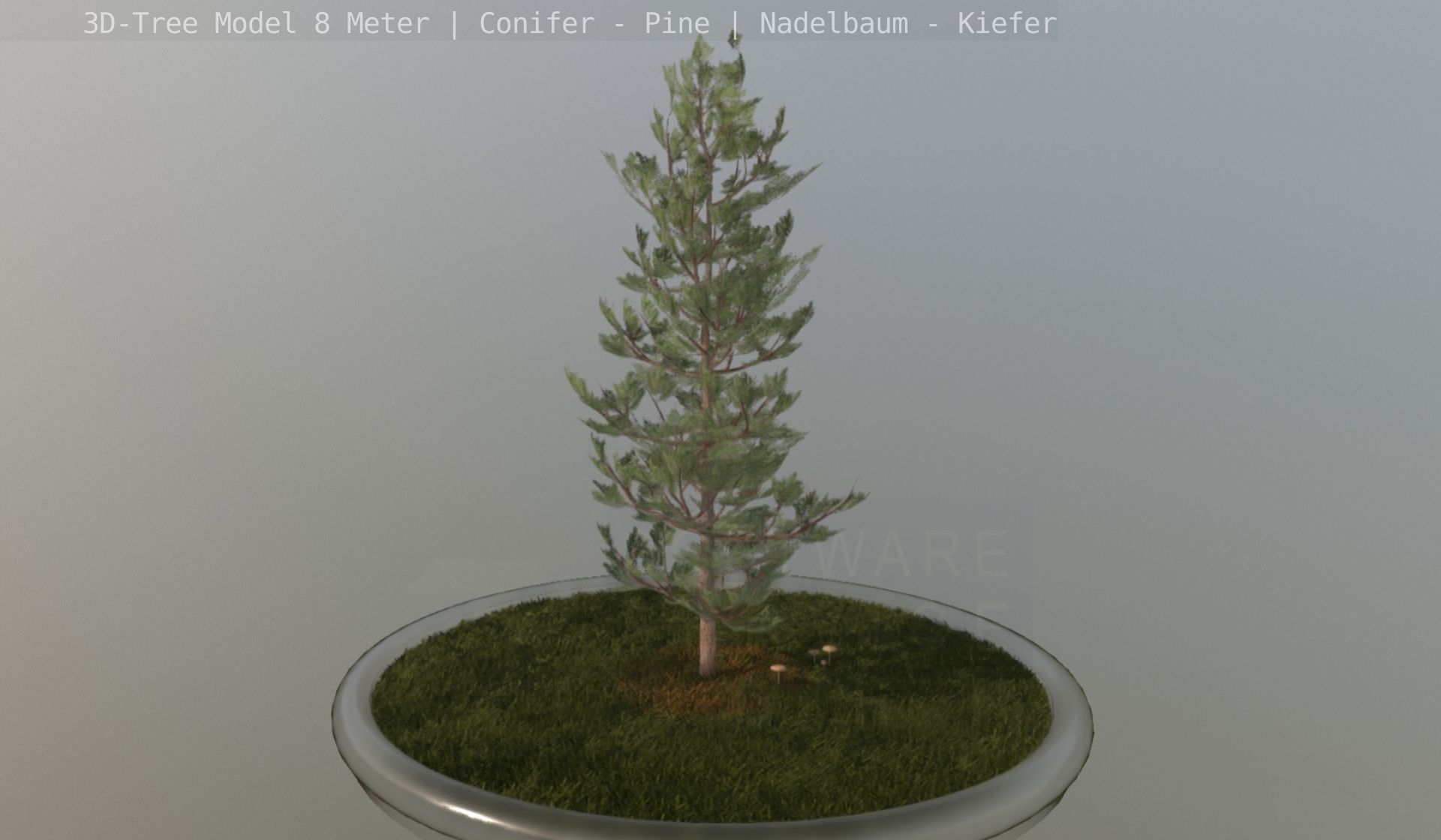 Pine Conifer - Tree 8 Meter Low-poly 3D model_53