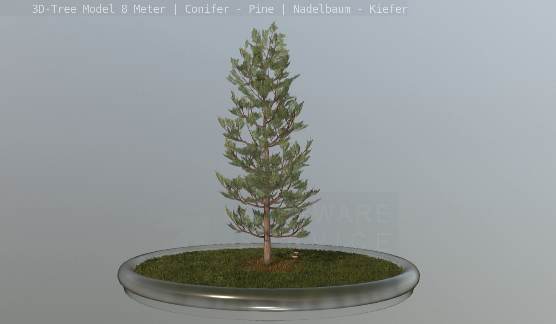 Pine Conifer - Tree 8 Meter Low-poly 3D model_122