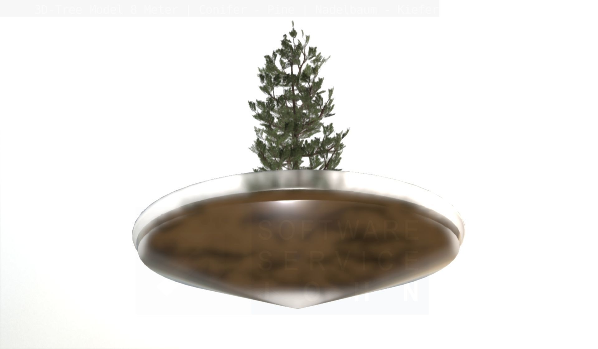 Pine Conifer - Tree 8 Meter Low-poly 3D model_25