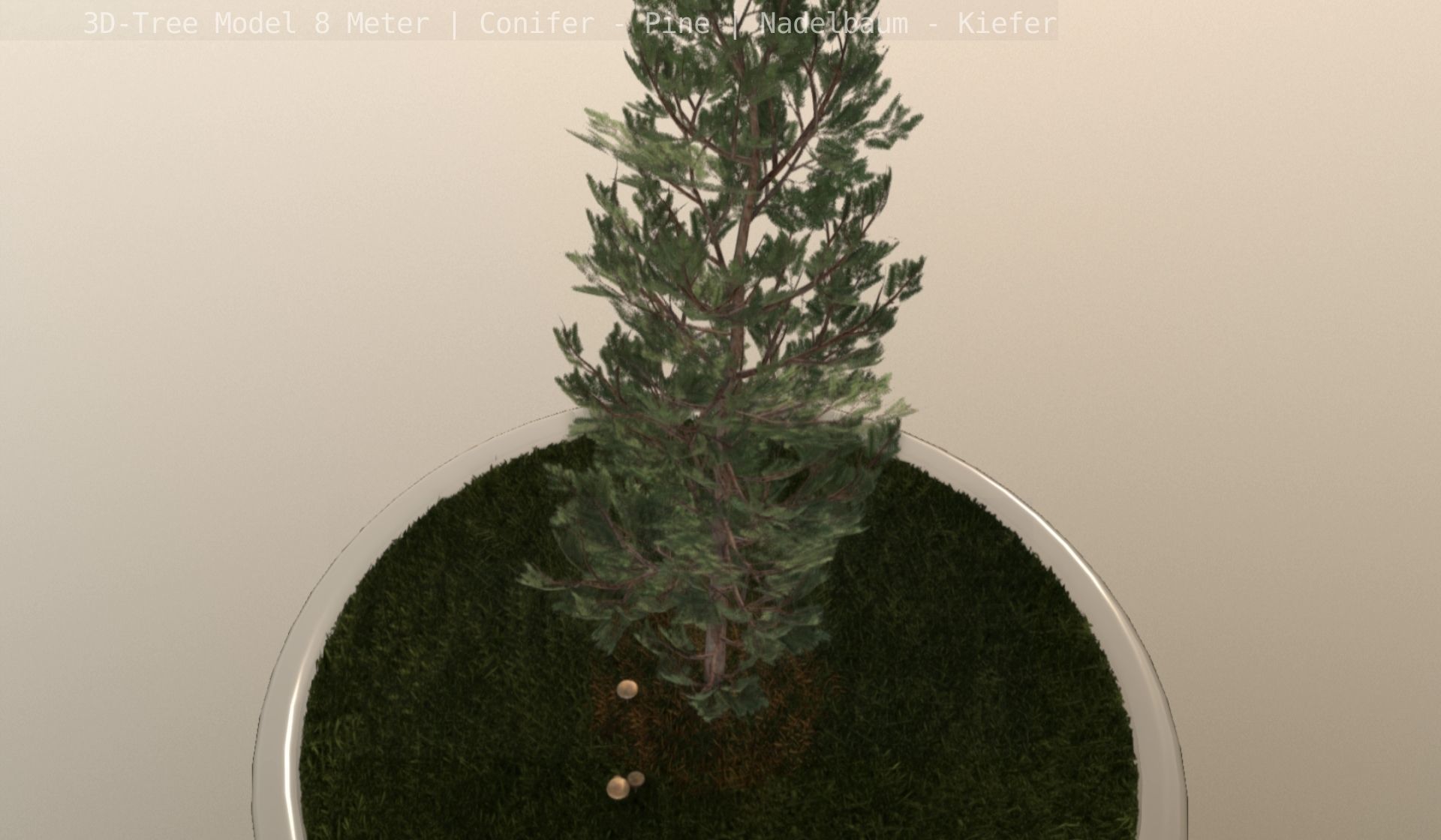 Pine Conifer - Tree 8 Meter Low-poly 3D model_89