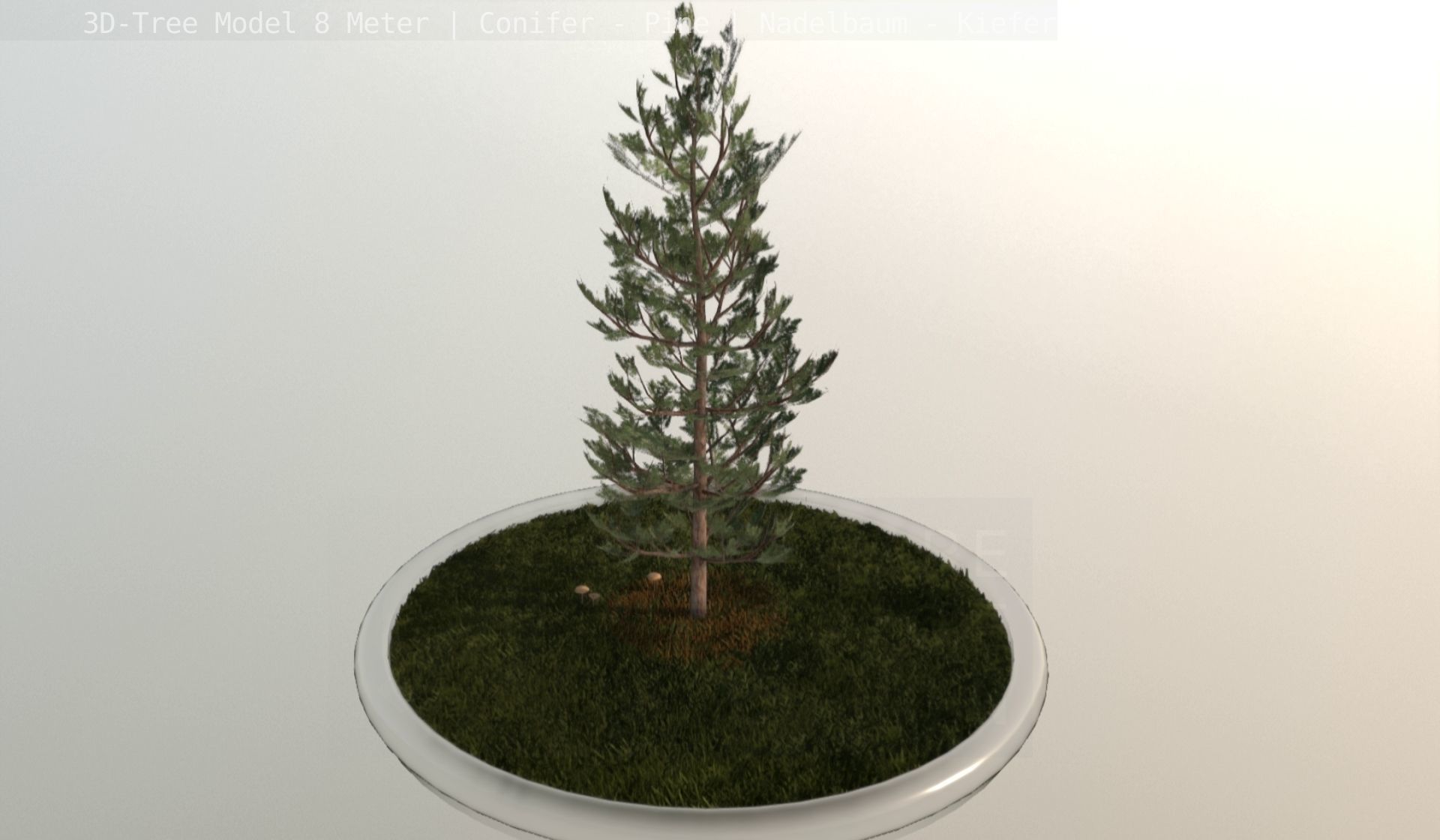 Pine Conifer - Tree 8 Meter Low-poly 3D model_40