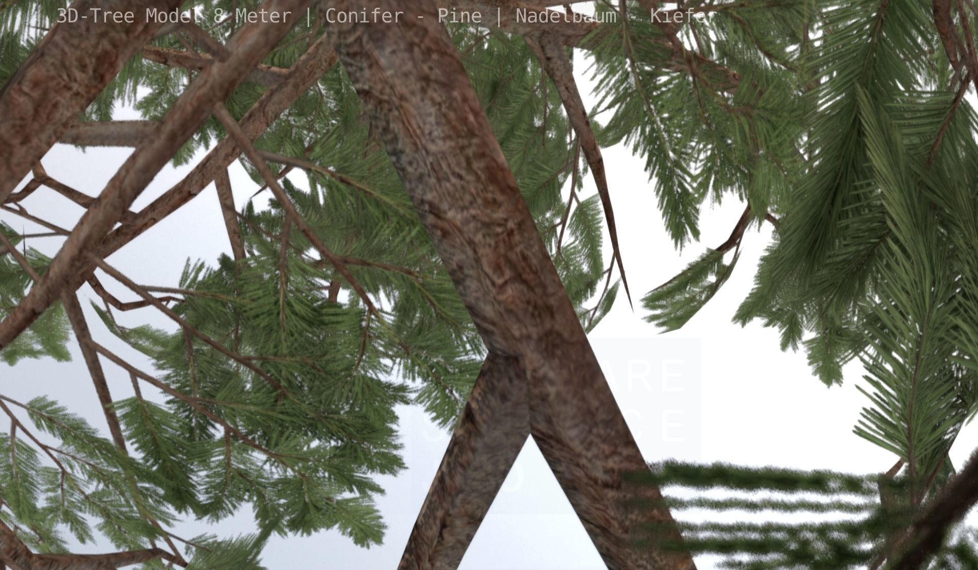 Pine Conifer - Tree 8 Meter Low-poly 3D model_85