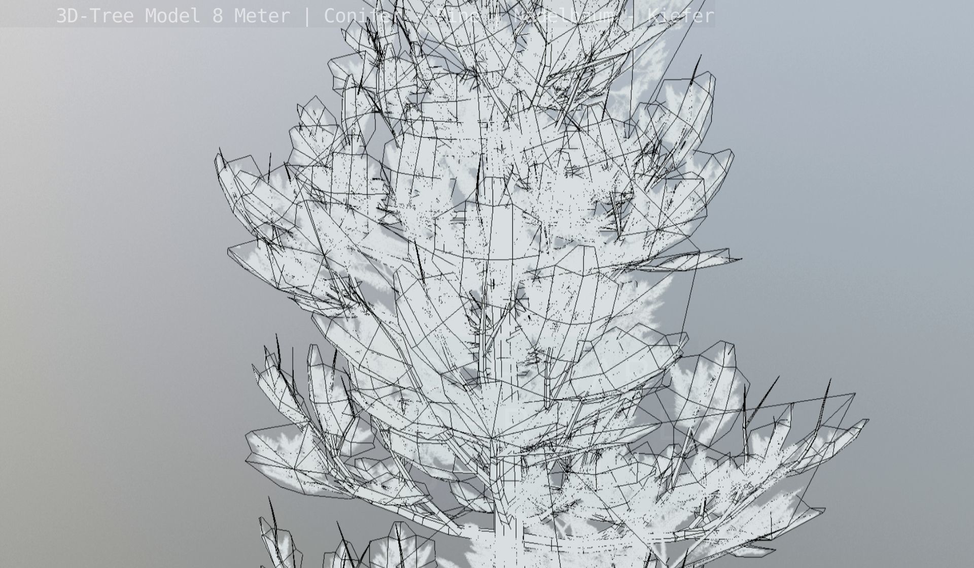 Pine Conifer - Tree 8 Meter Low-poly 3D model_136