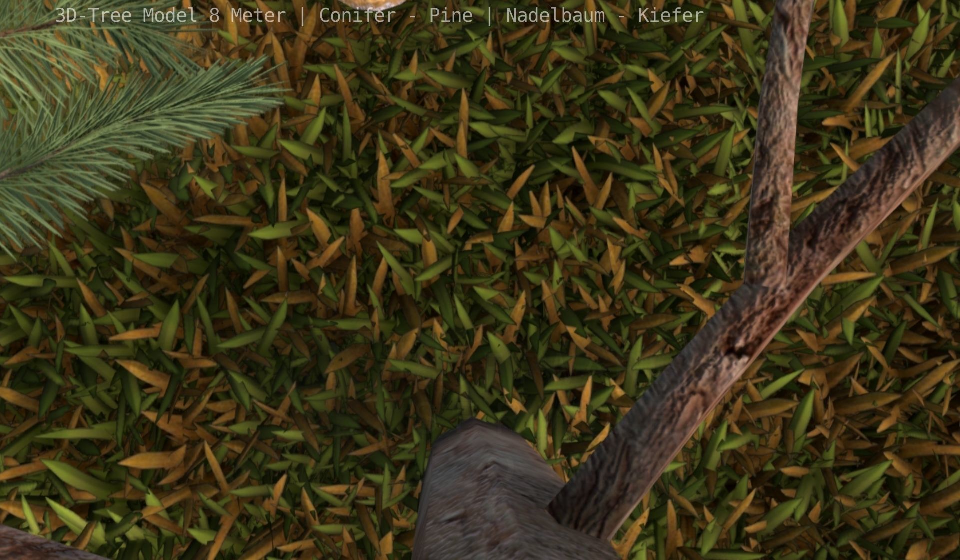 Pine Conifer - Tree 8 Meter Low-poly 3D model_64