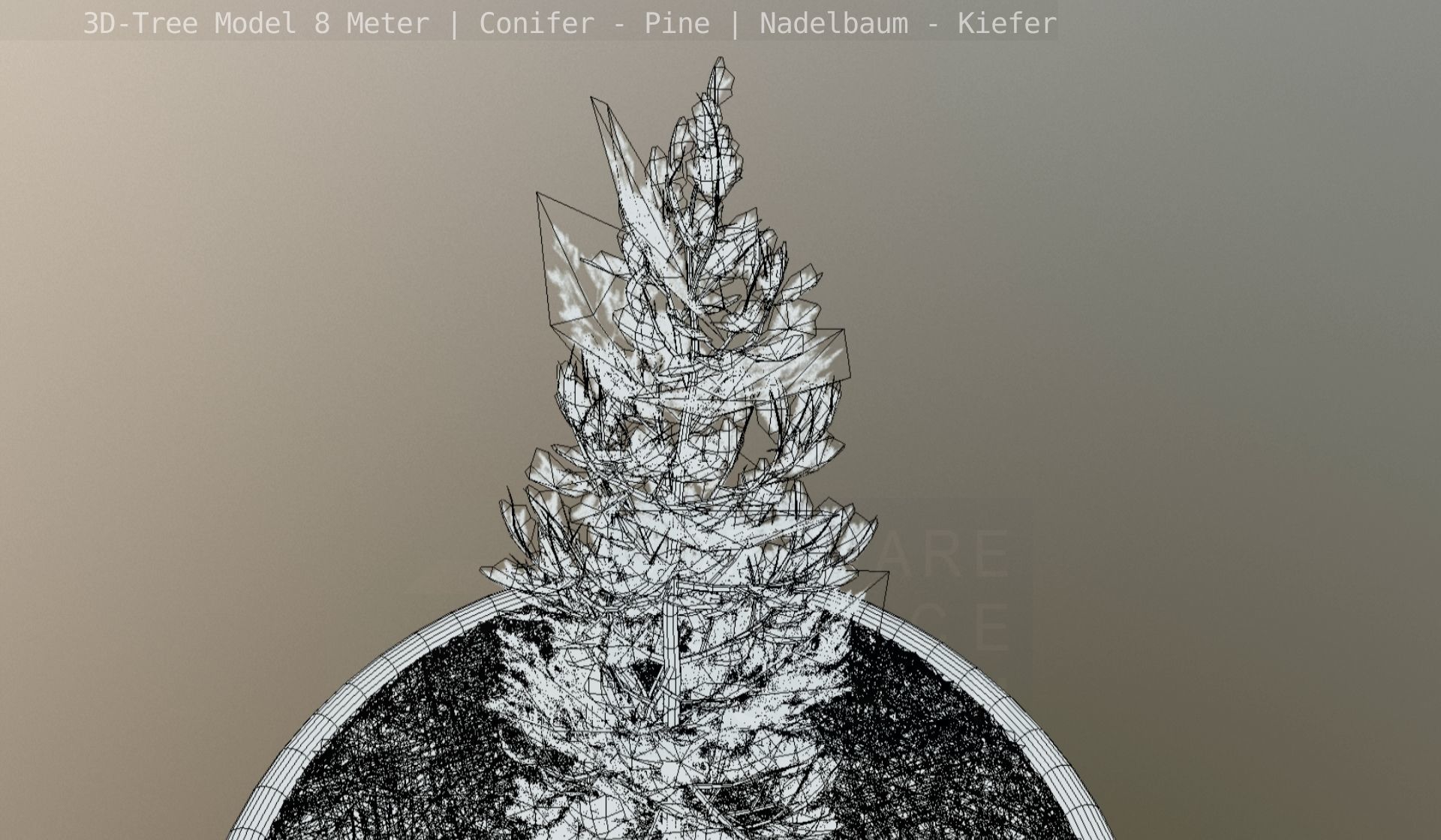 Pine Conifer - Tree 8 Meter Low-poly 3D model_139