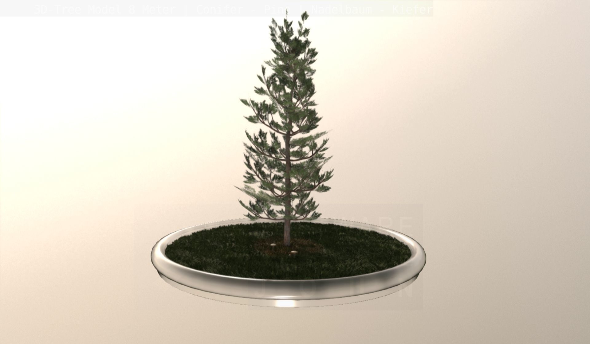 Pine Conifer - Tree 8 Meter Low-poly 3D model_10