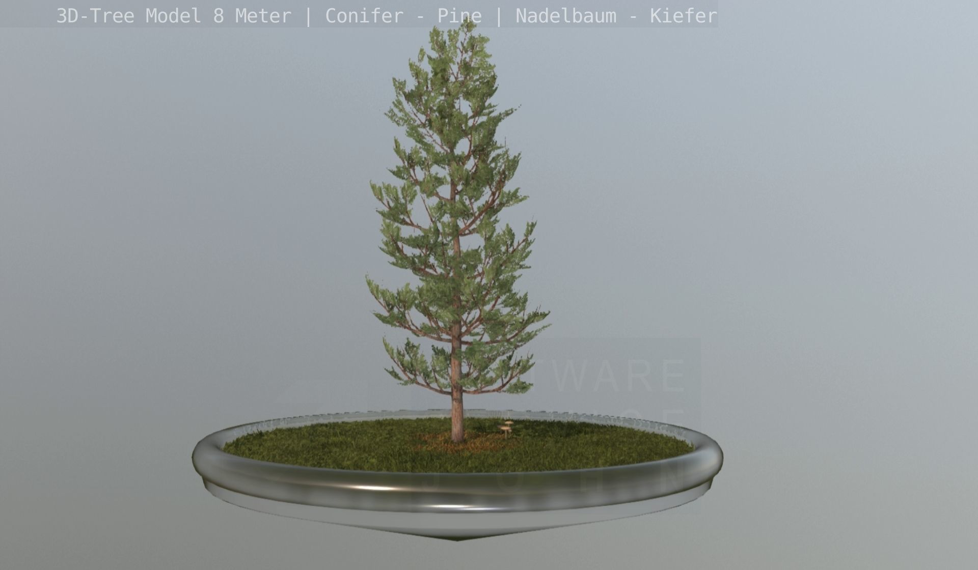 Pine Conifer - Tree 8 Meter Low-poly 3D model_76