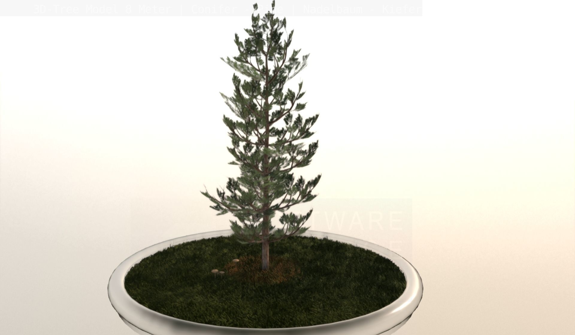 Pine Conifer - Tree 8 Meter Low-poly 3D model_20