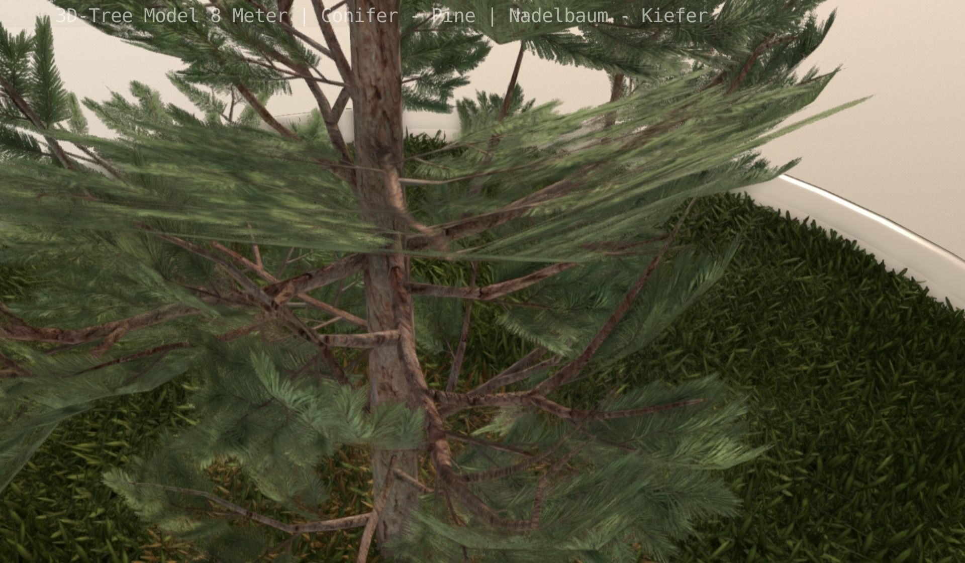 Pine Conifer - Tree 8 Meter Low-poly 3D model_116