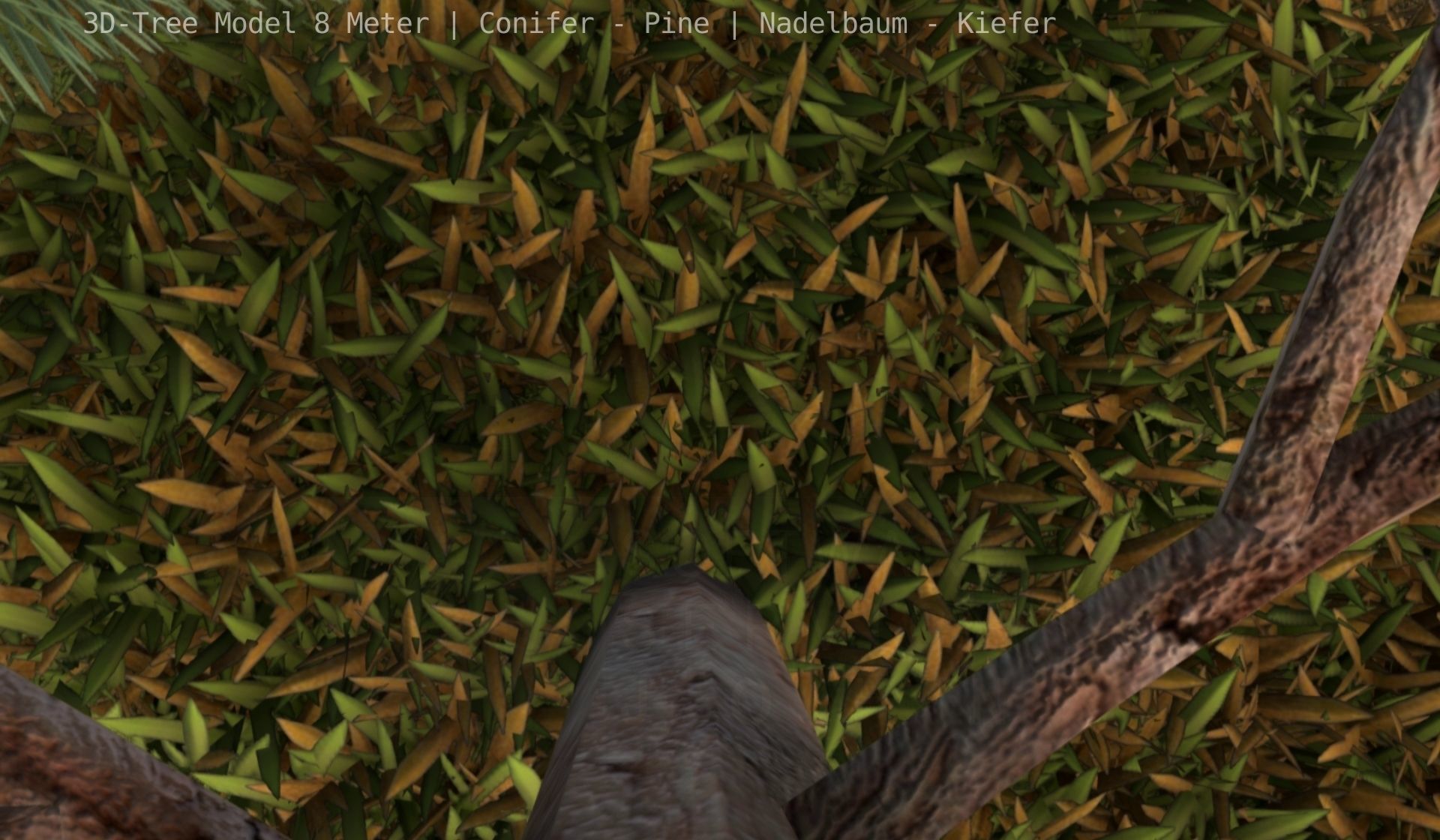 Pine Conifer - Tree 8 Meter Low-poly 3D model_62