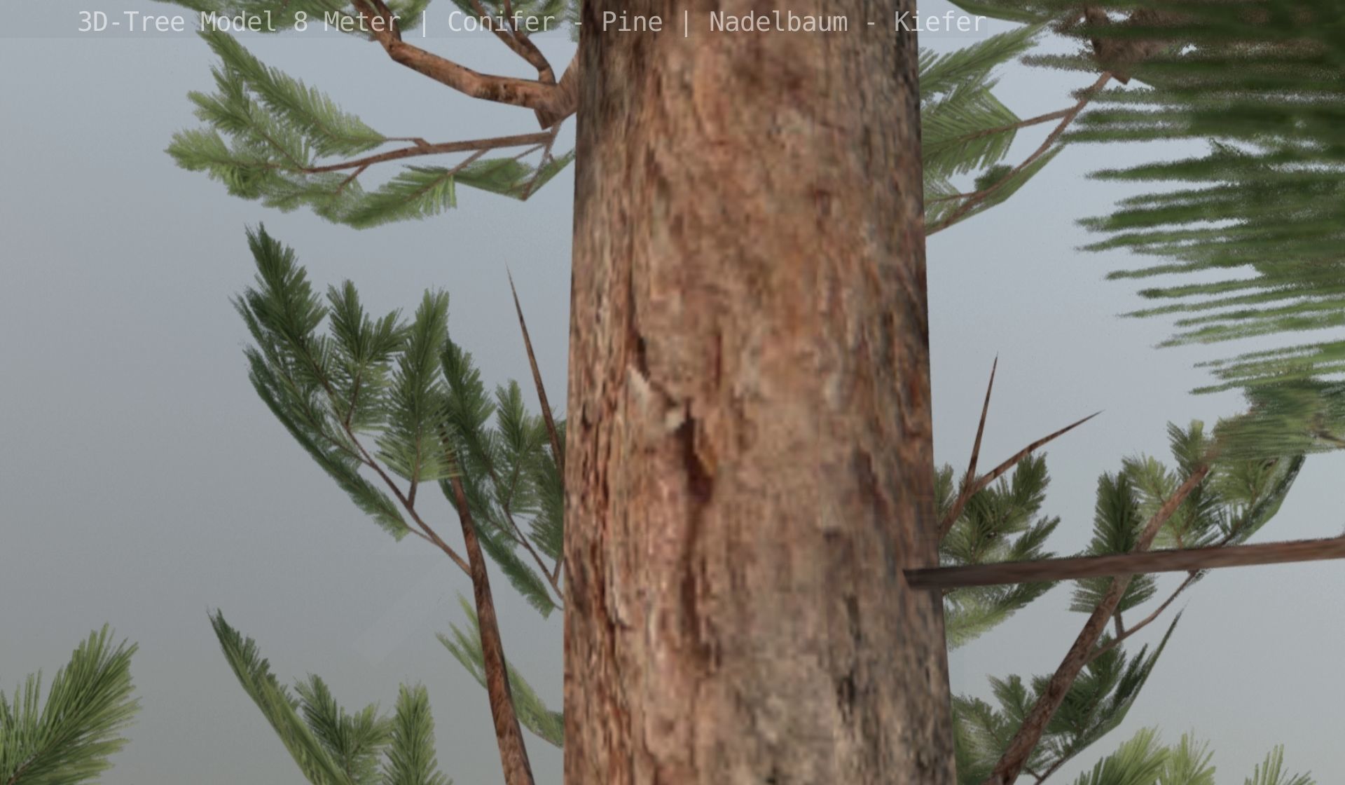 Pine Conifer - Tree 8 Meter Low-poly 3D model_106