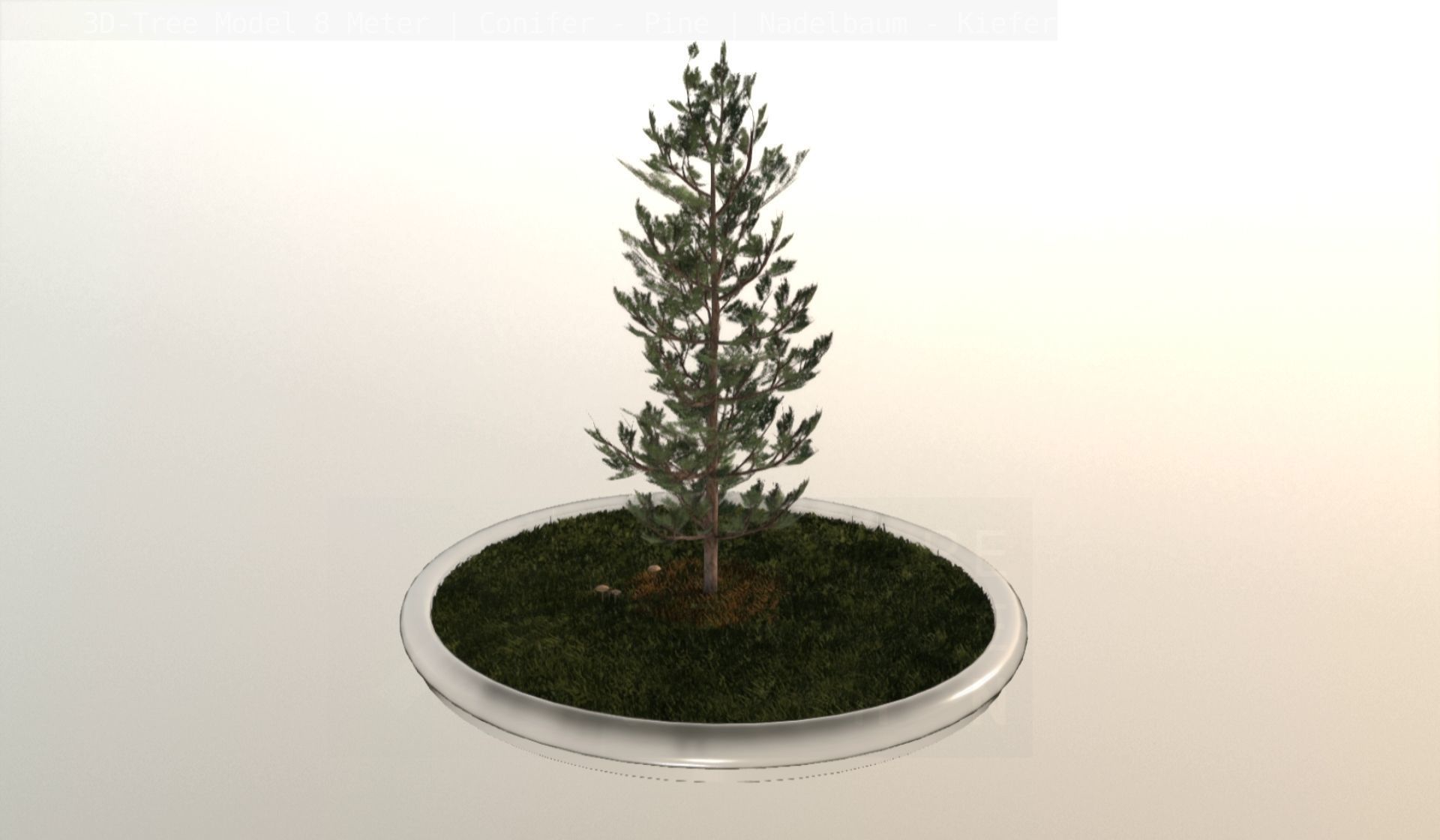 Pine Conifer - Tree 8 Meter Low-poly 3D model_31