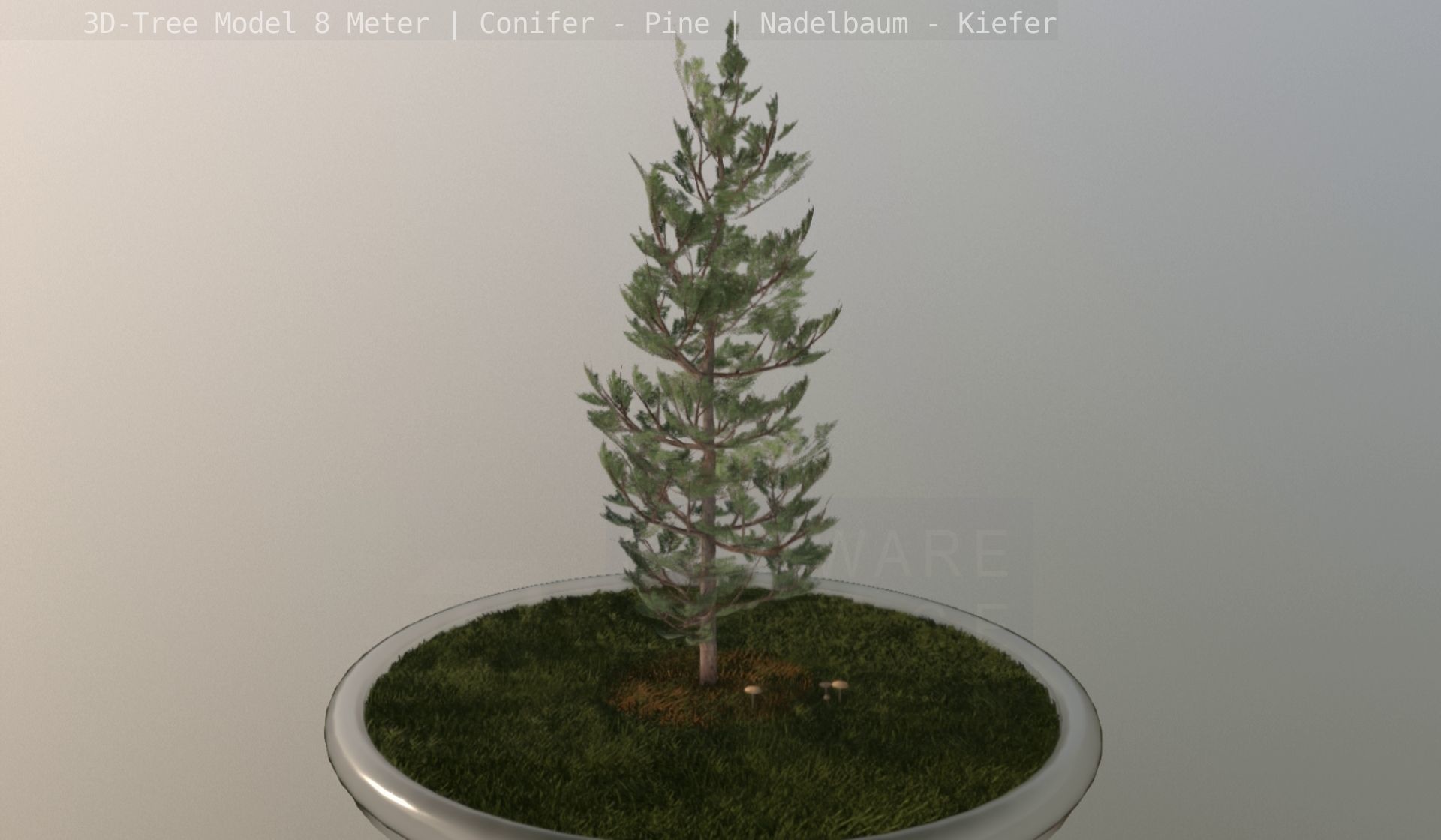 Pine Conifer - Tree 8 Meter Low-poly 3D model_140